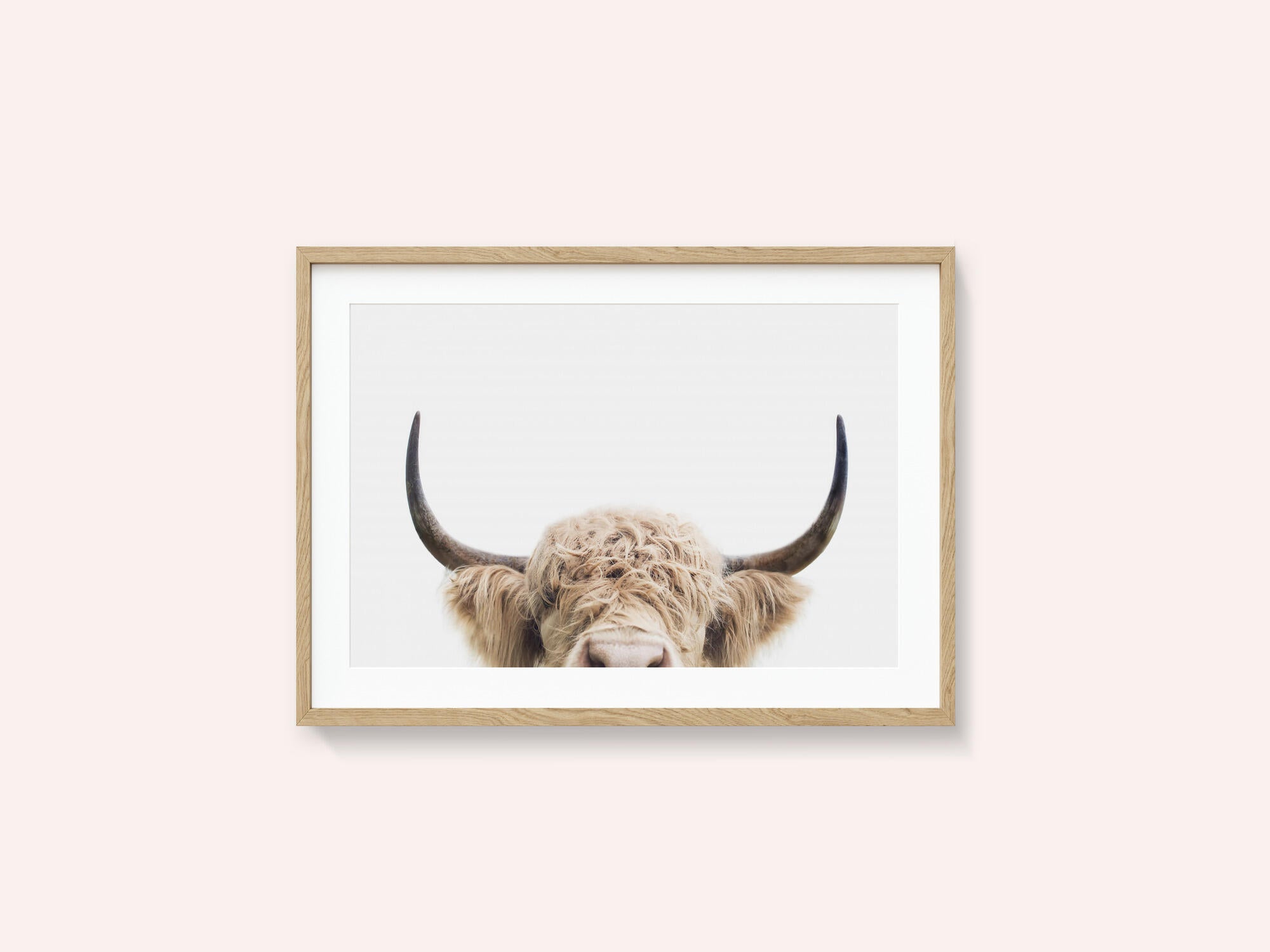 Peeking Cow