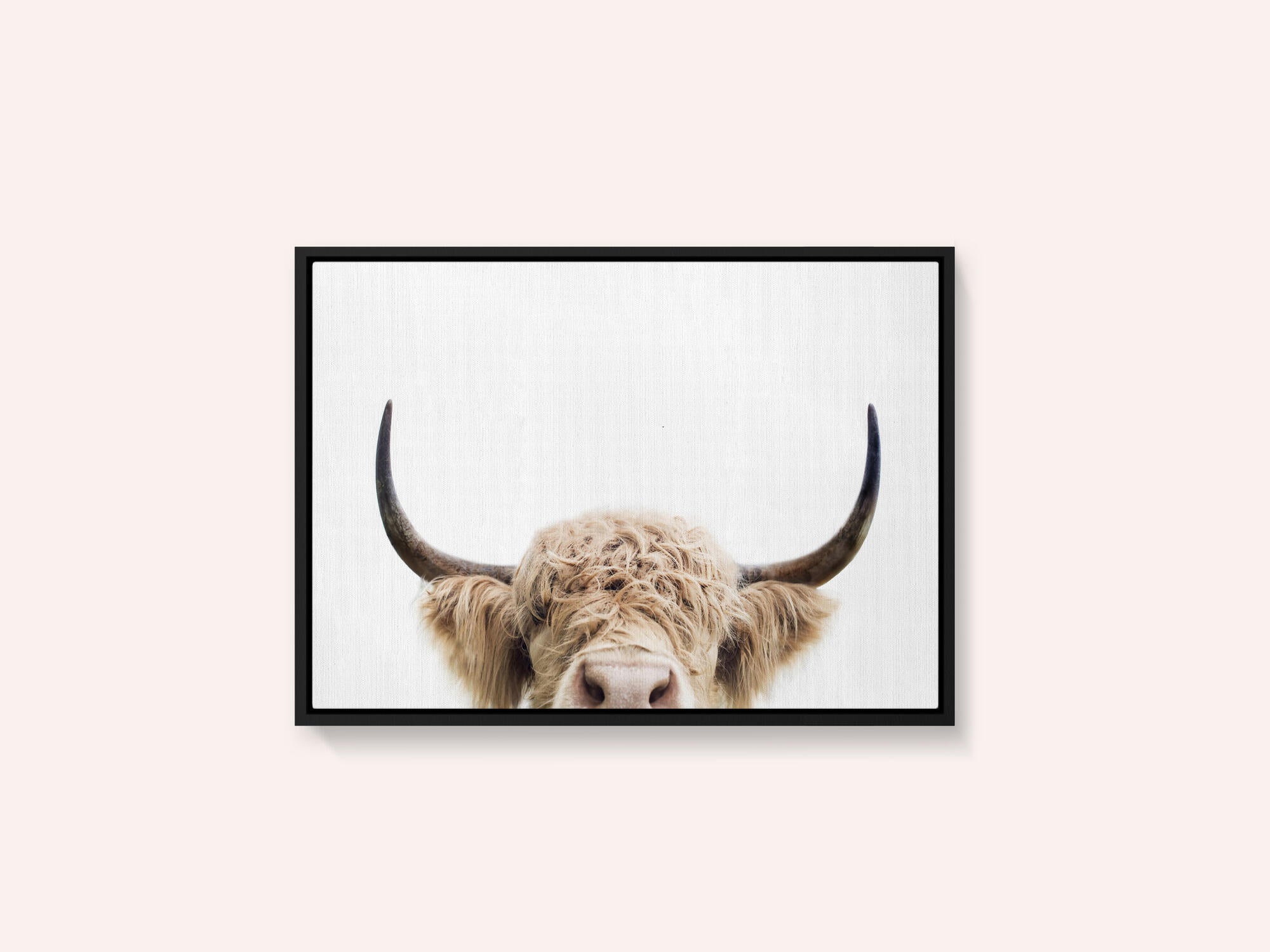 Peeking Cow
