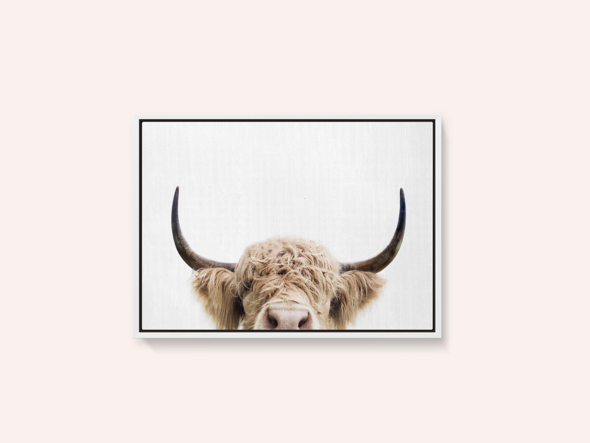 Peeking Cow