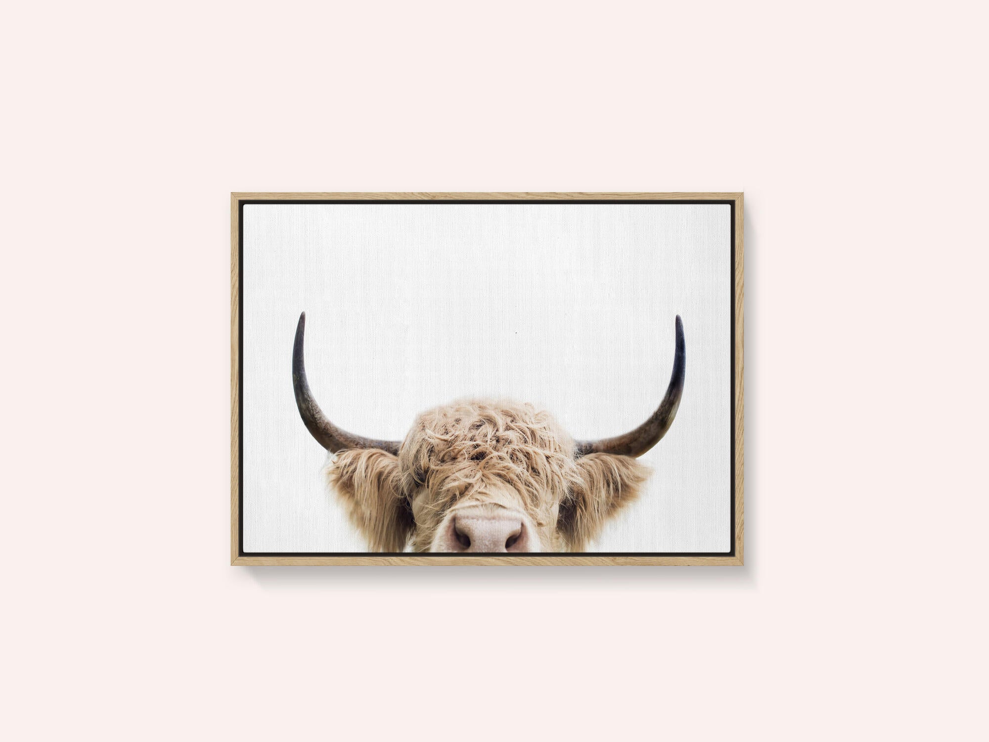 Peeking Cow