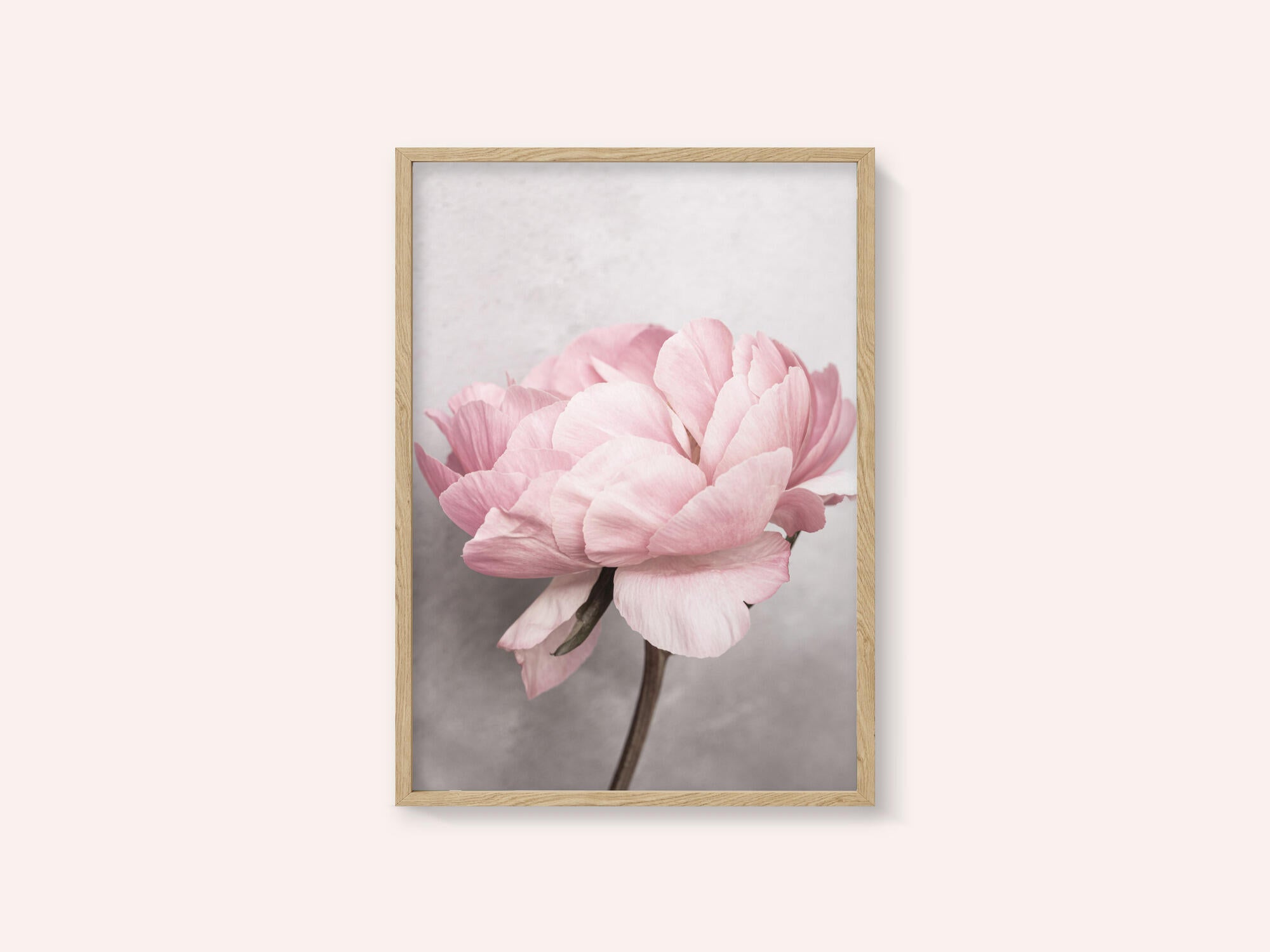 Peony