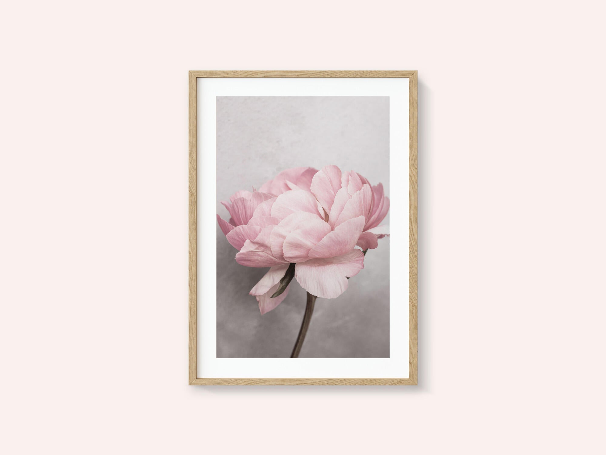 Peony