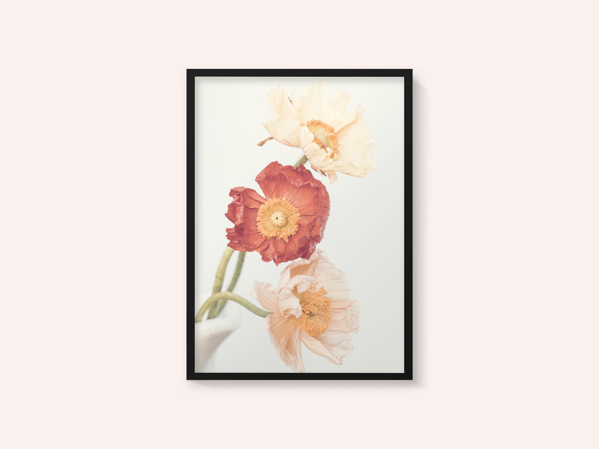 Poppies