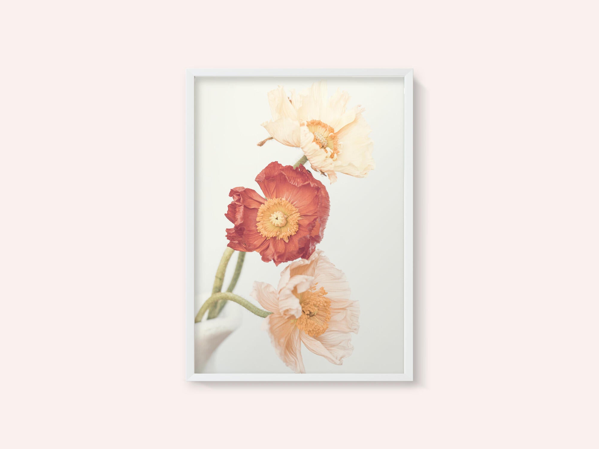 Poppies