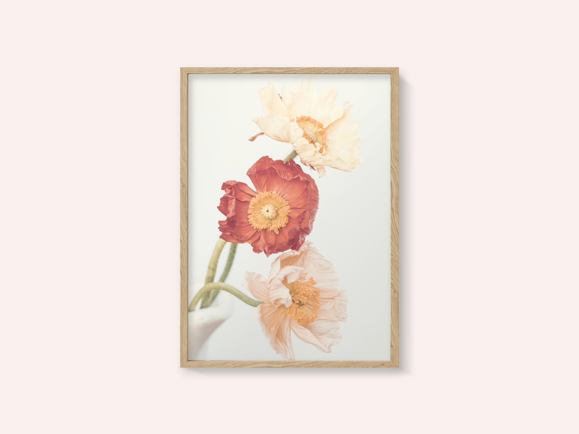 Poppies