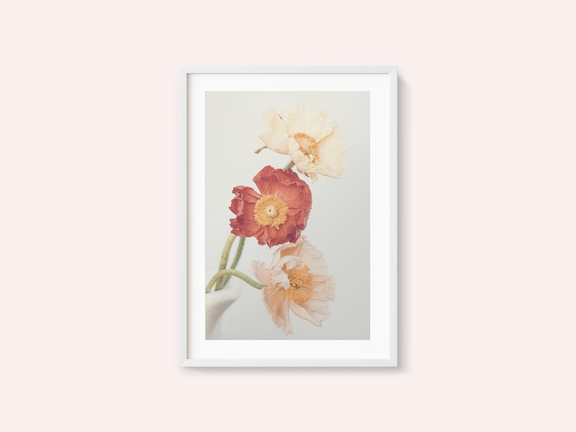 Poppies
