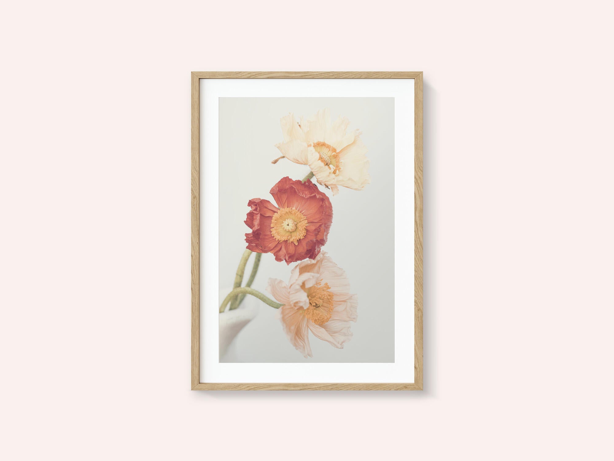 Poppies