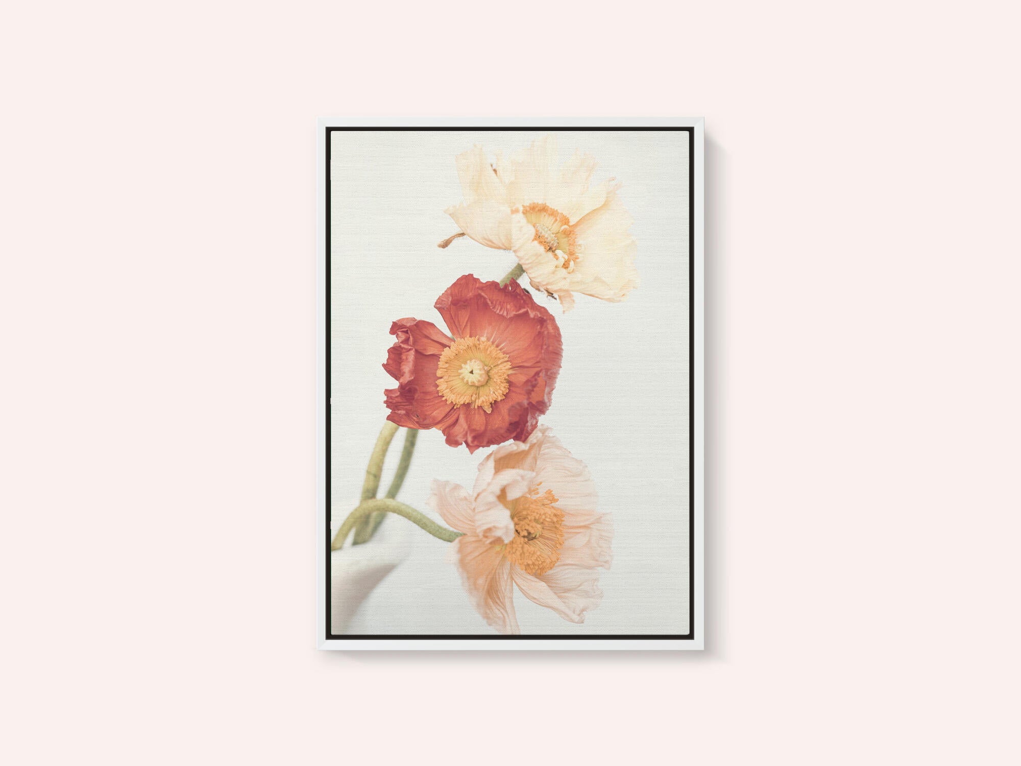 Poppies