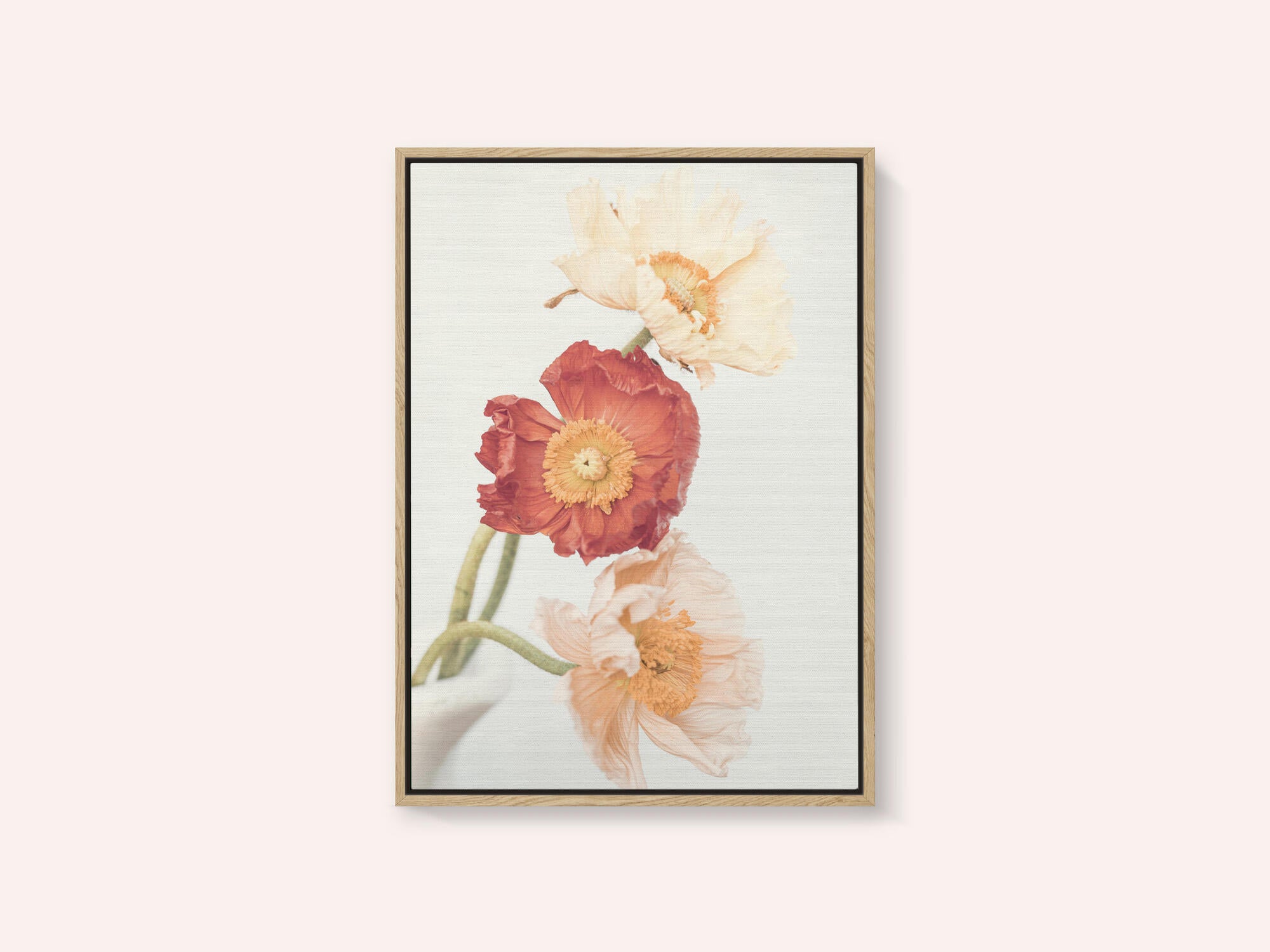 Poppies