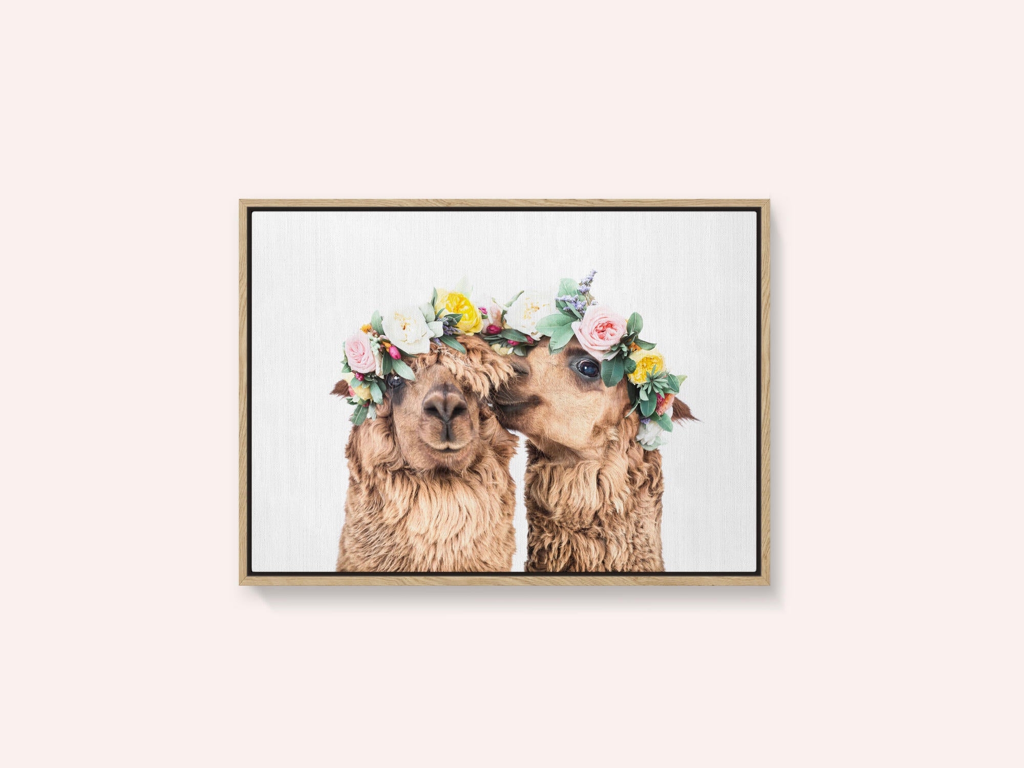 Boho Alpacas