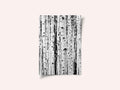 Birches