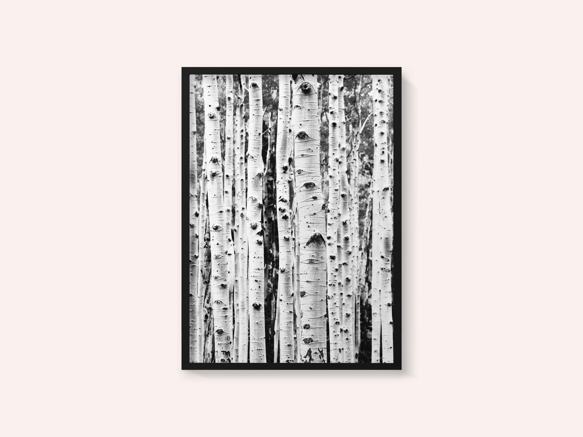 Birches
