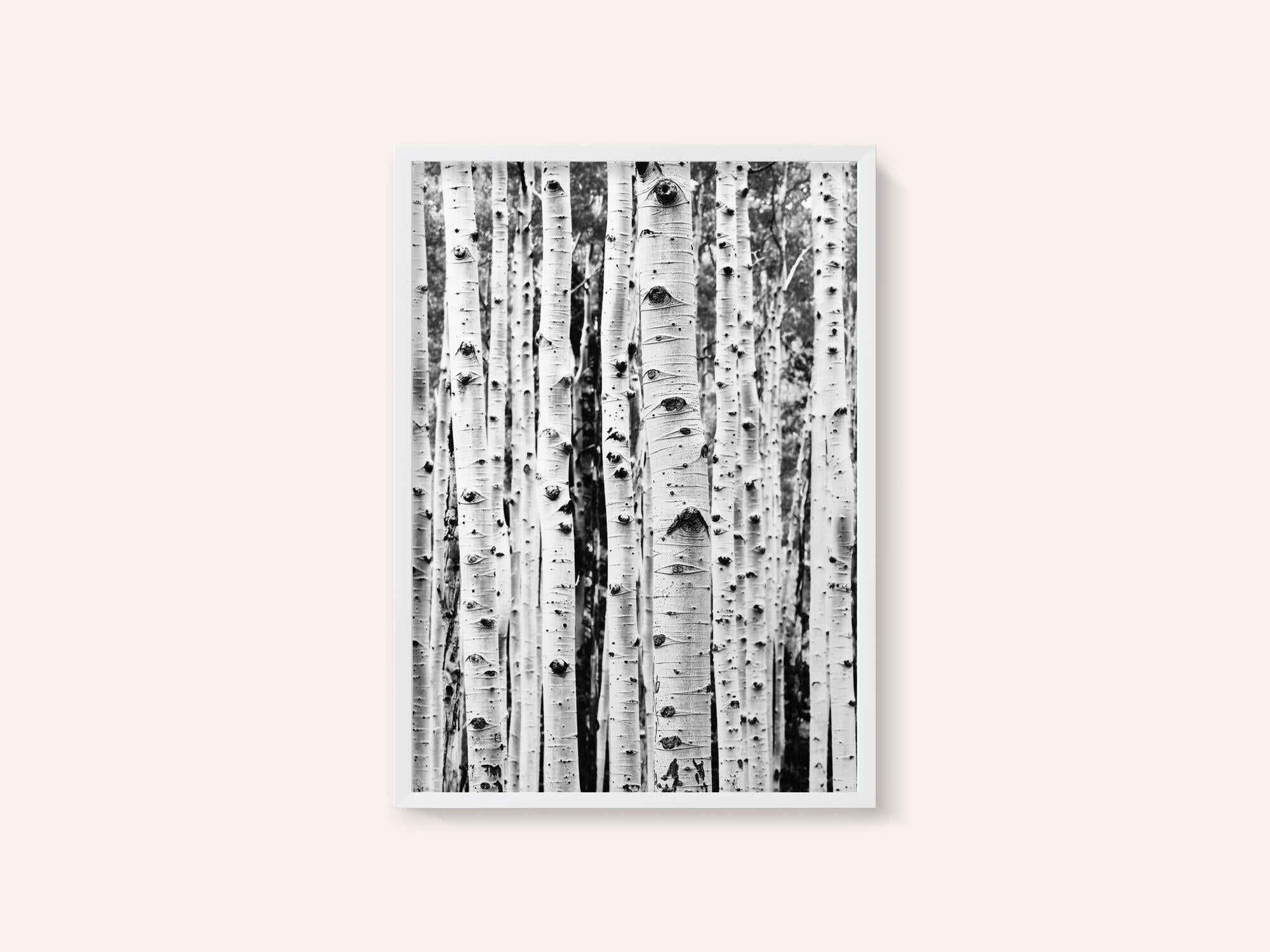 Birches