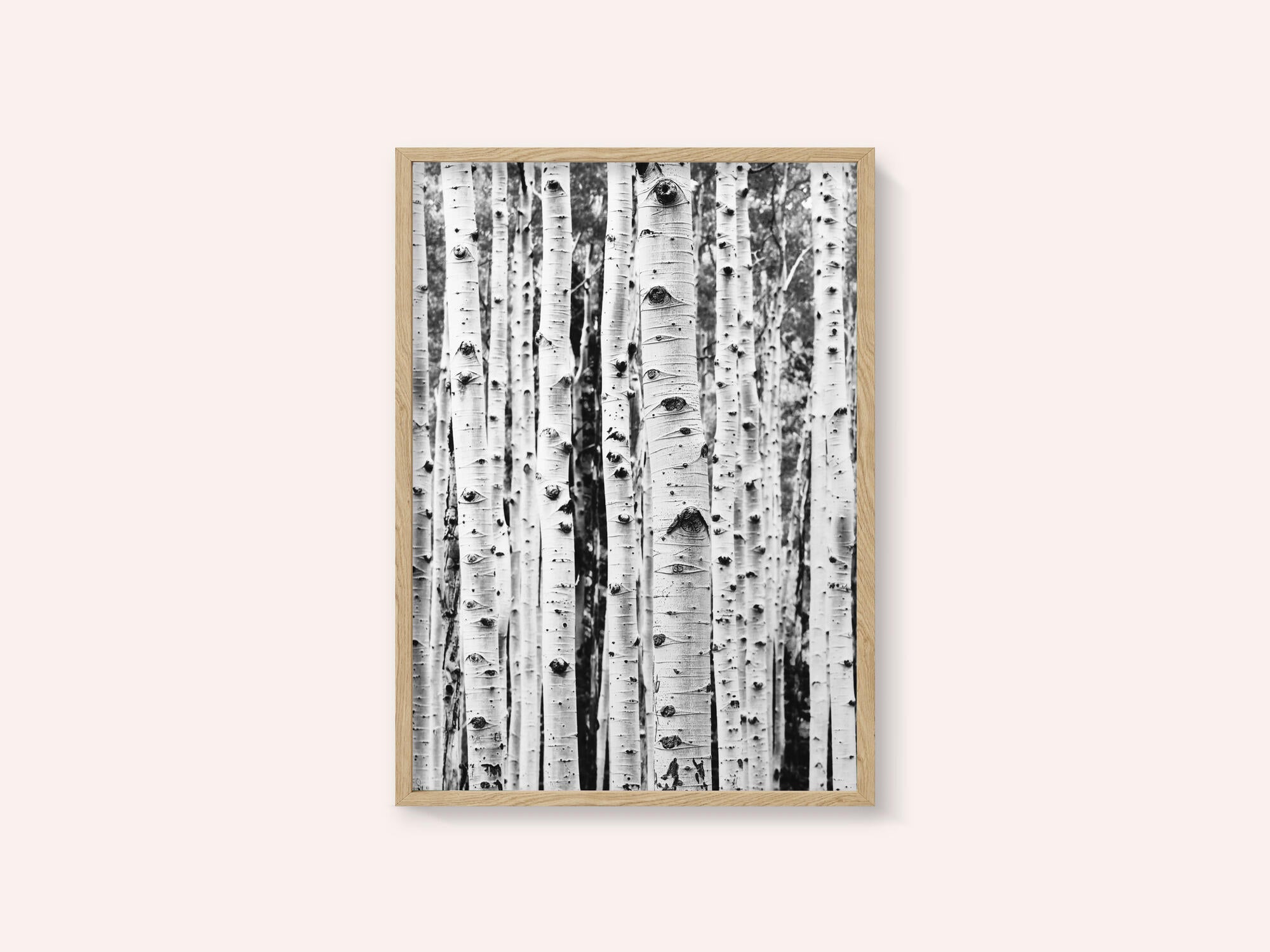 Birches