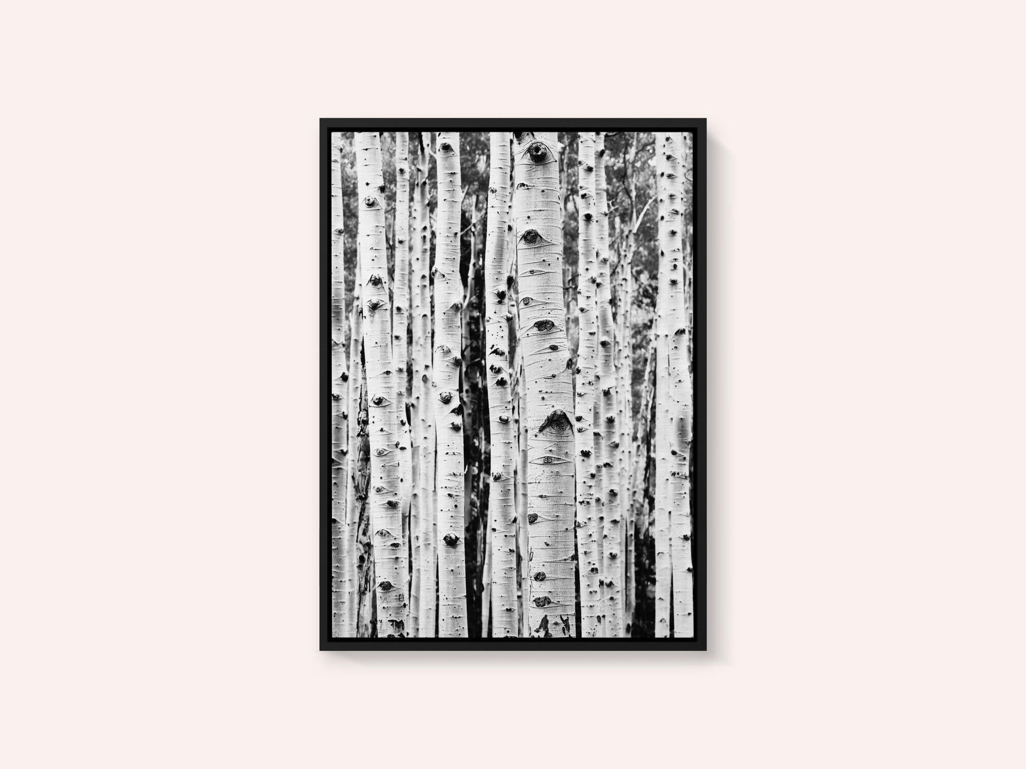 Birches