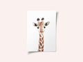 Baby Giraffe