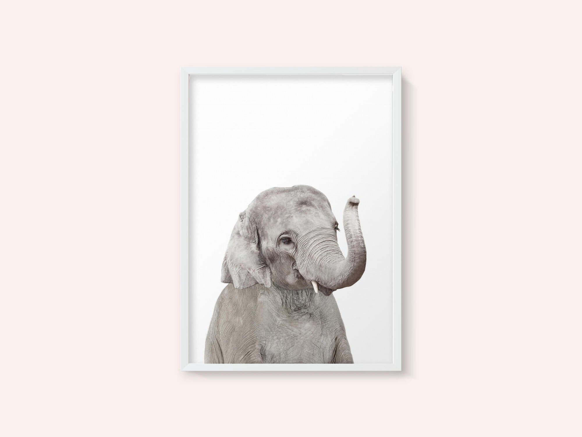 Baby Elephant