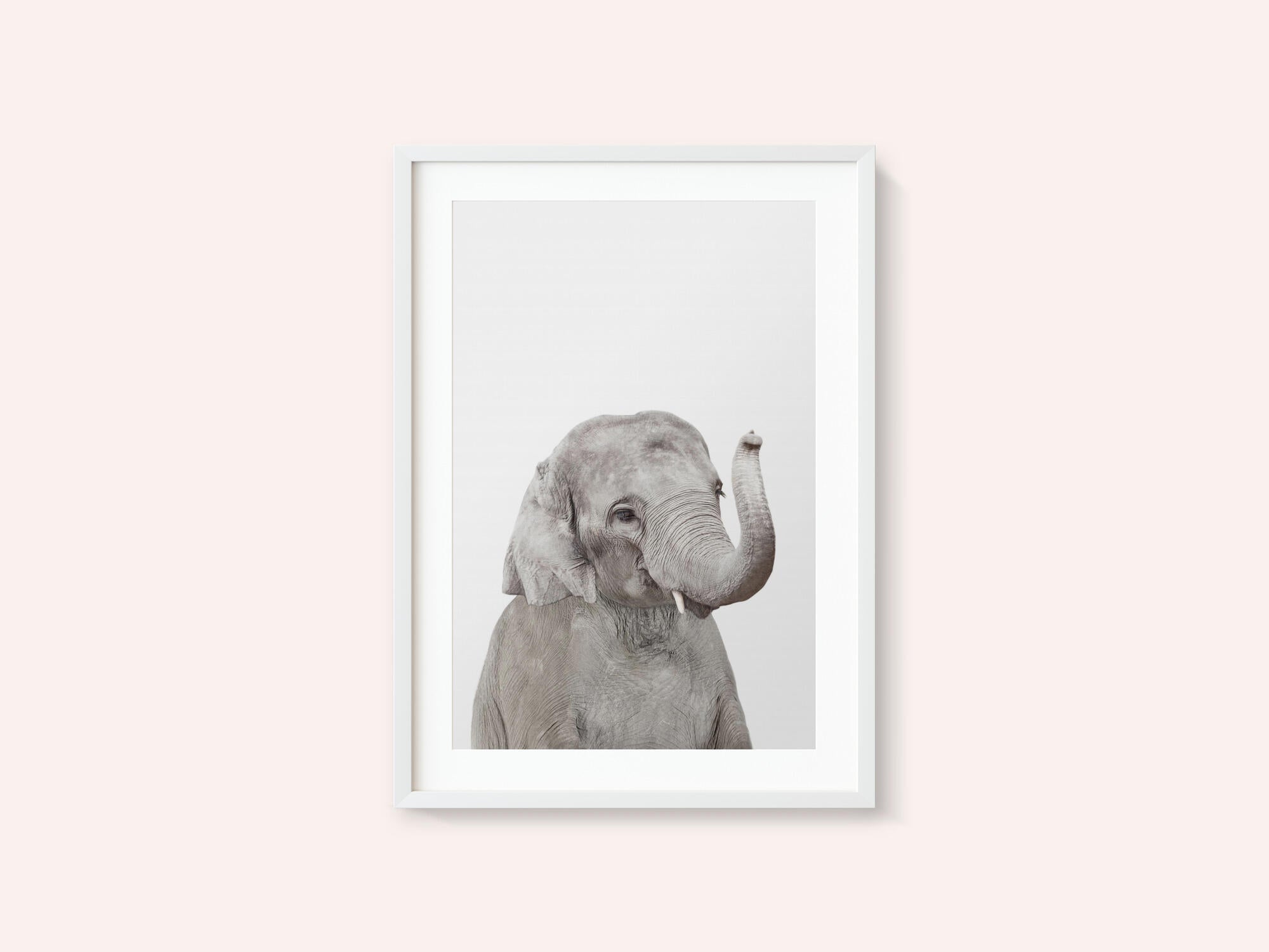 Baby Elephant