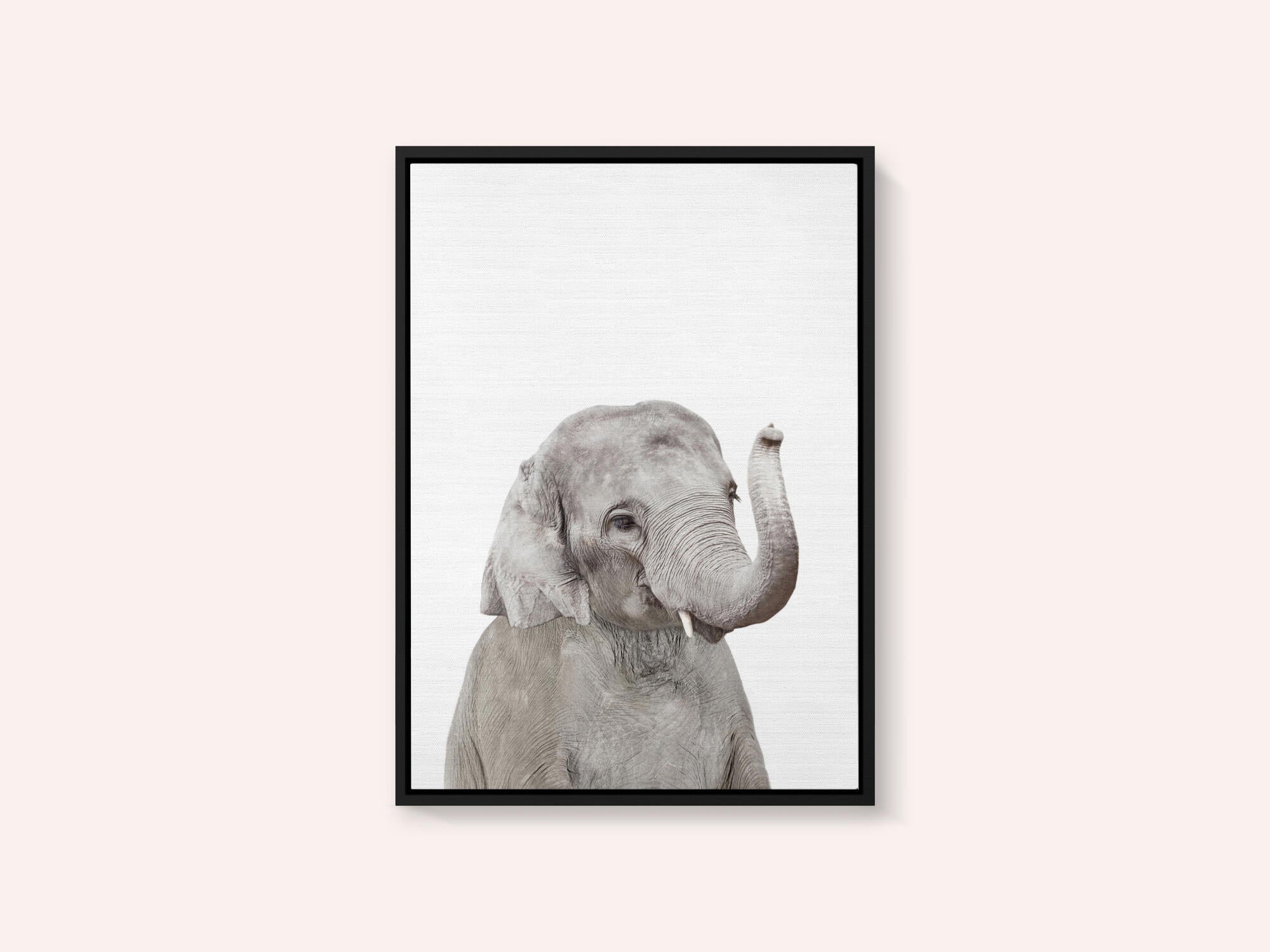 Baby Elephant