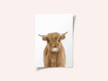 Baby Cow