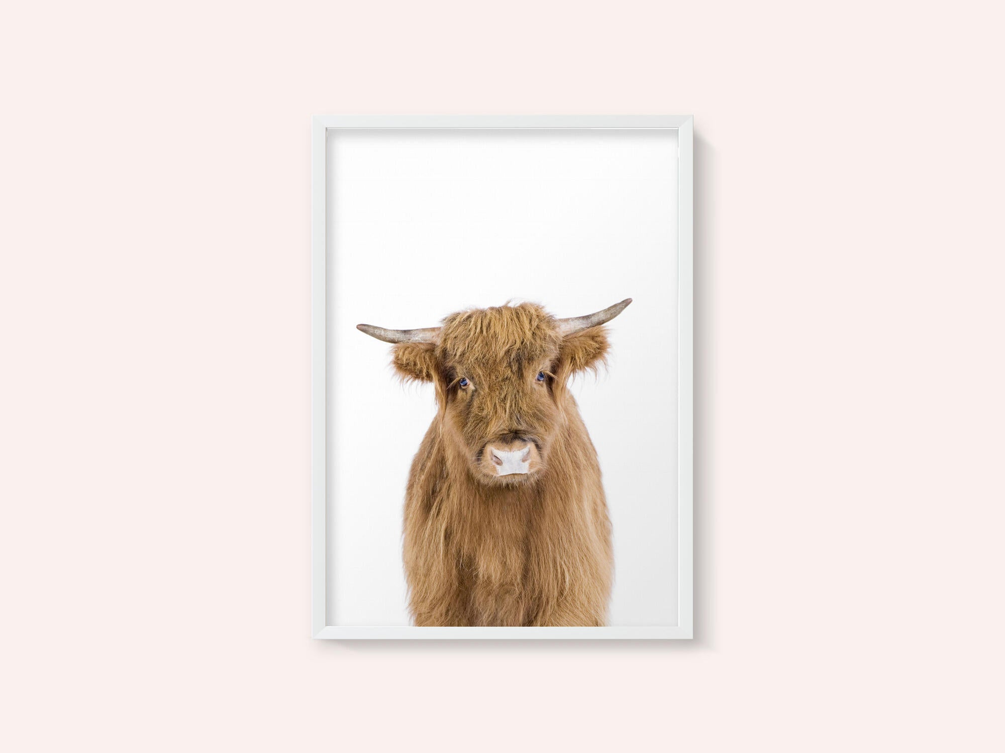 Baby Cow