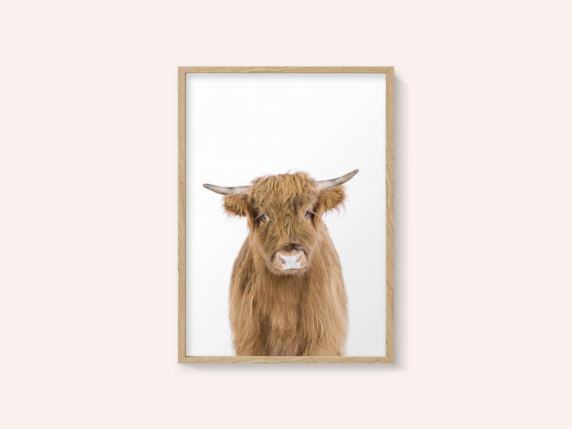 Baby Cow