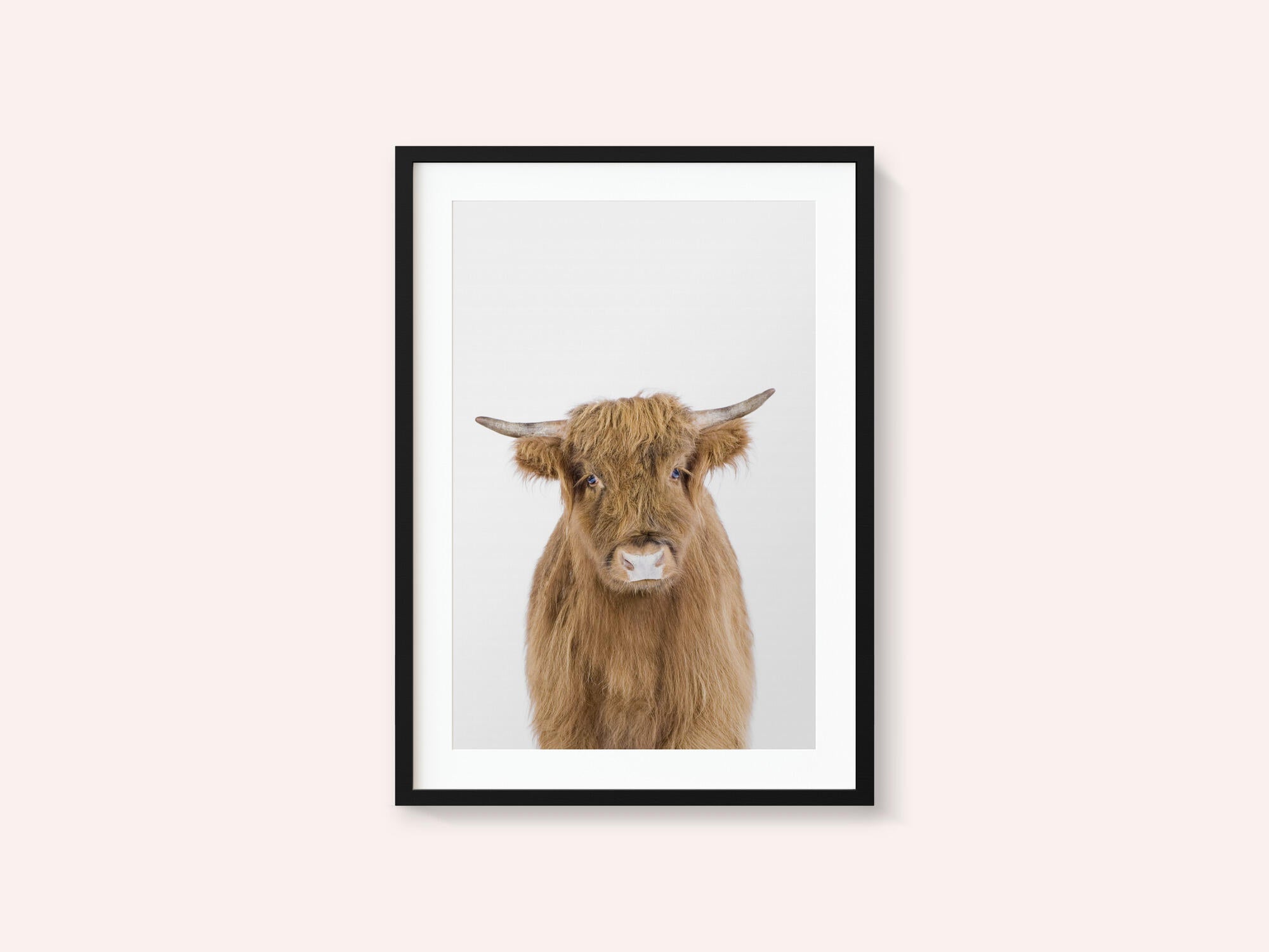 Baby Cow