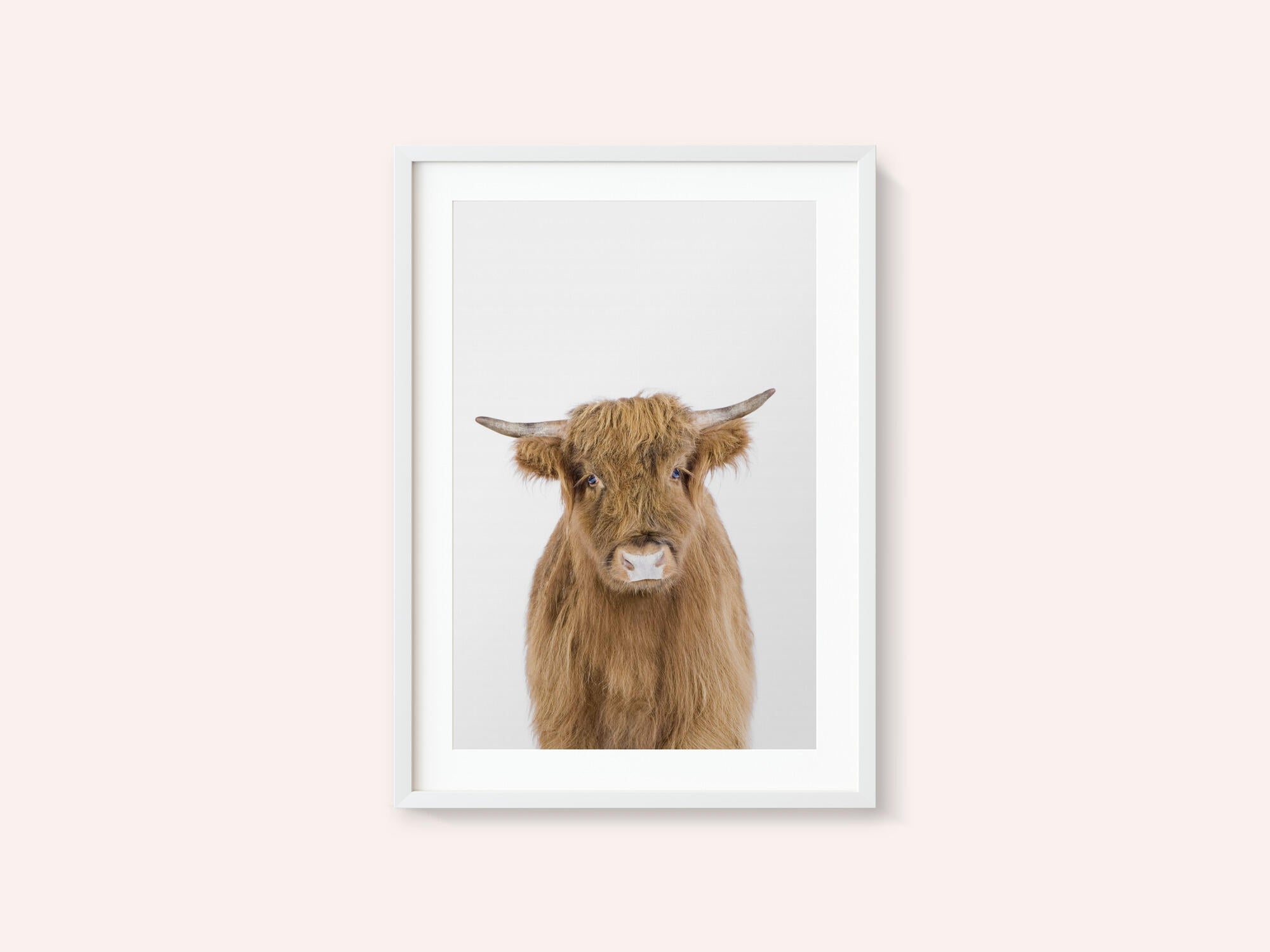 Baby Cow