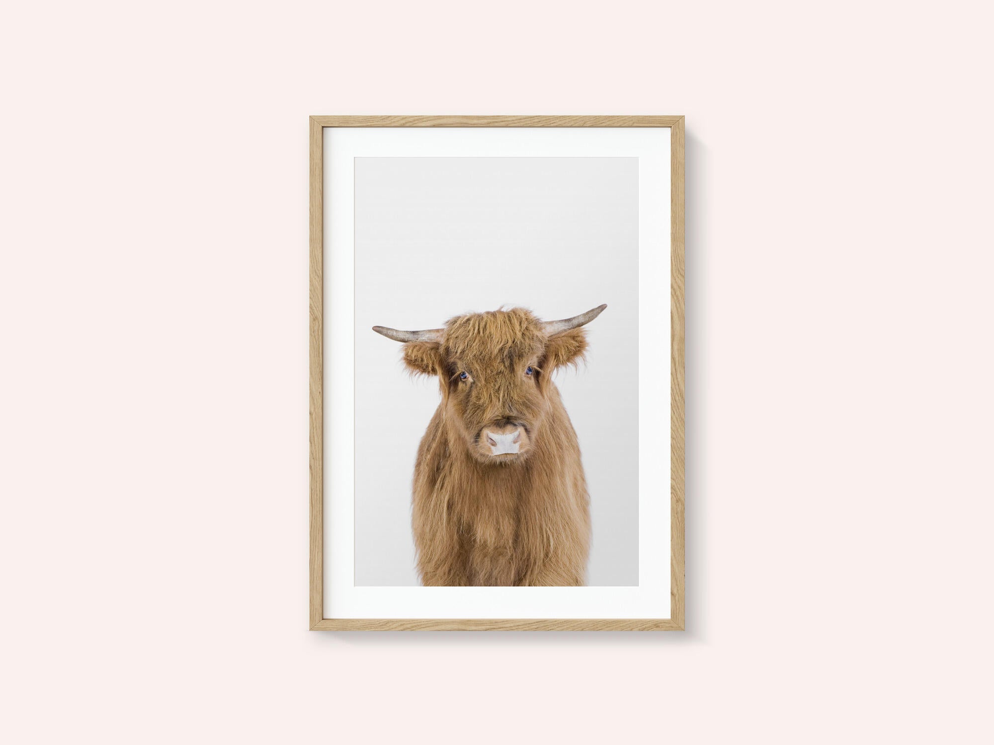 Baby Cow