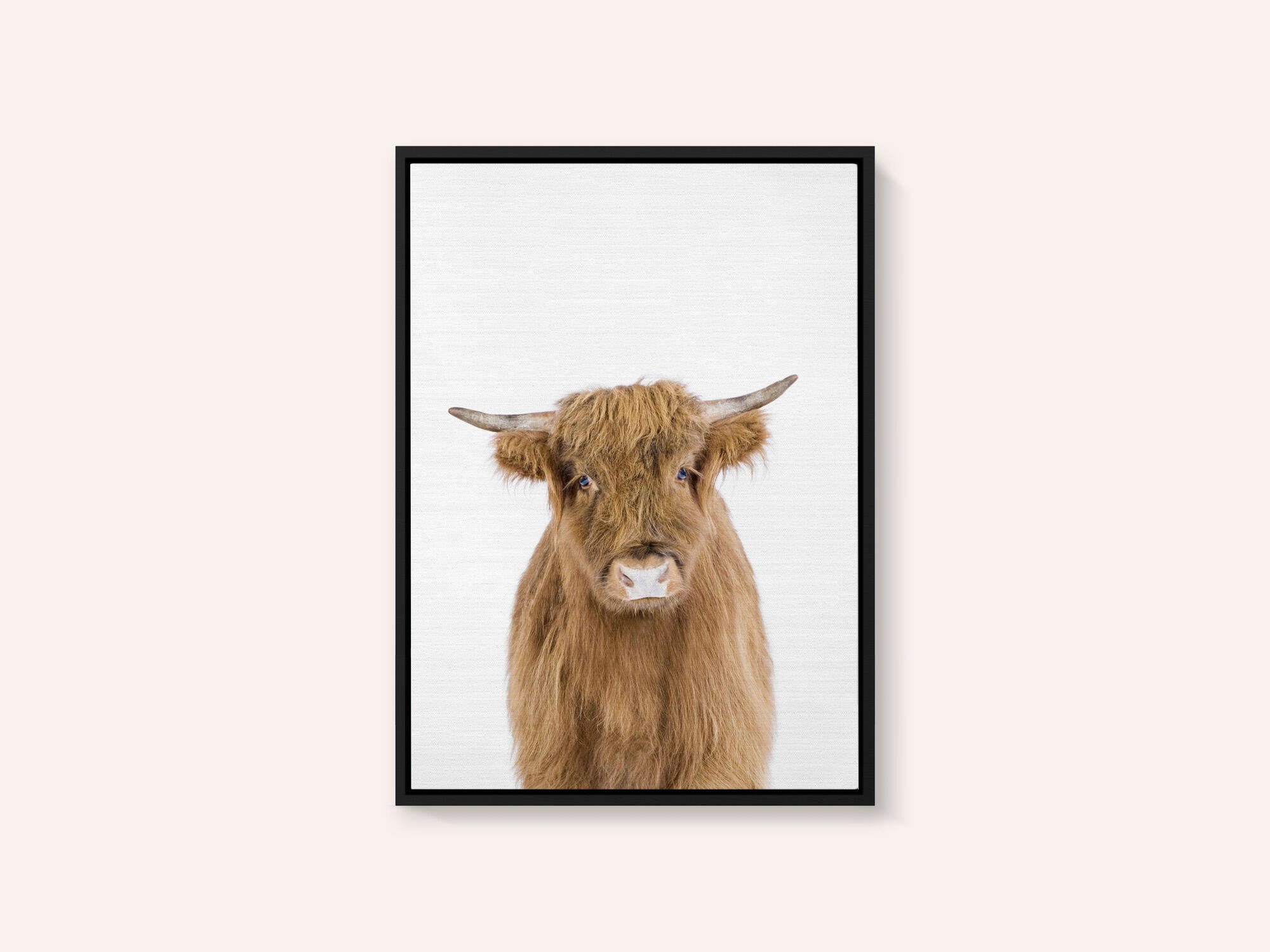 Baby Cow