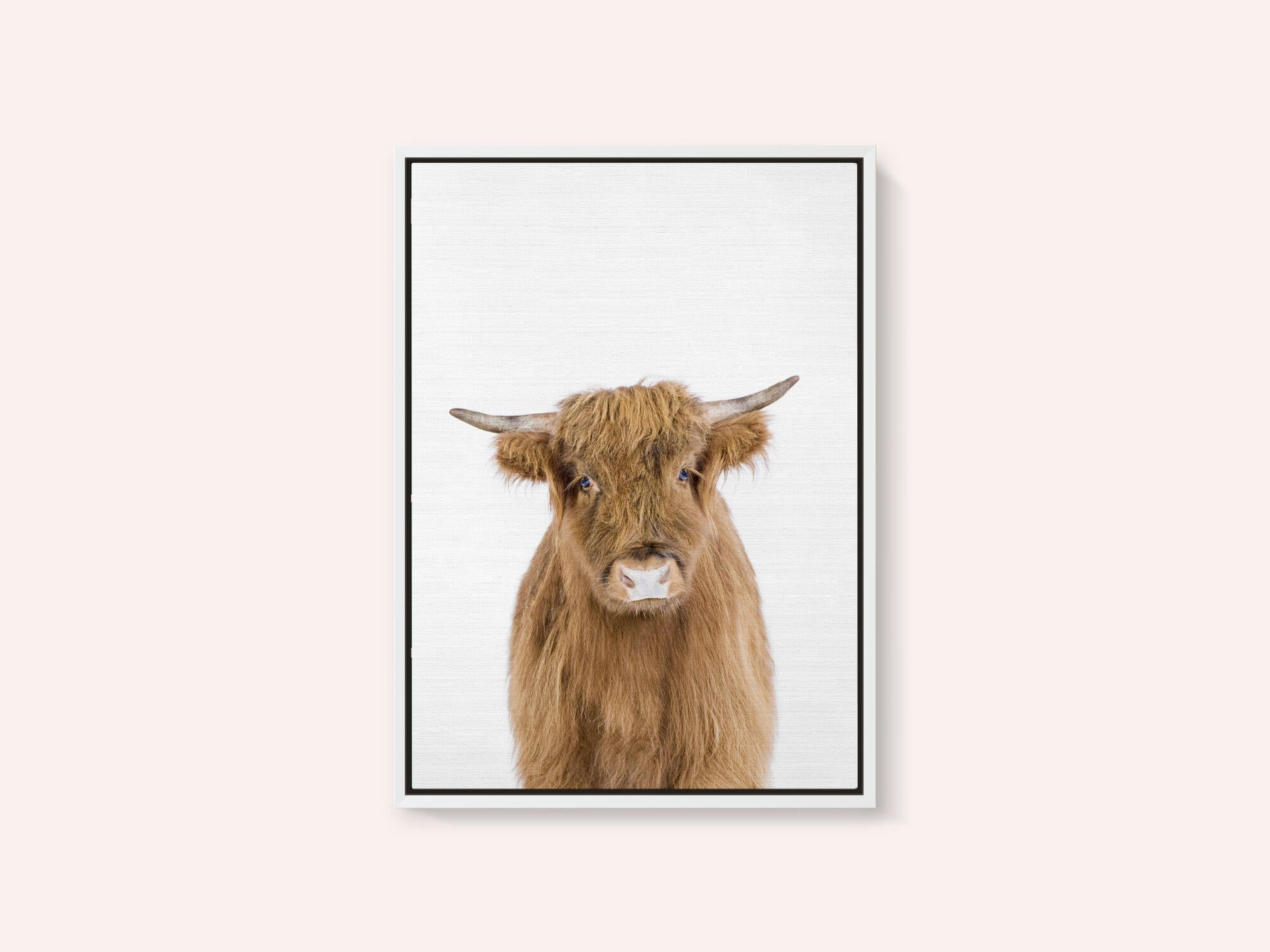 Baby Cow