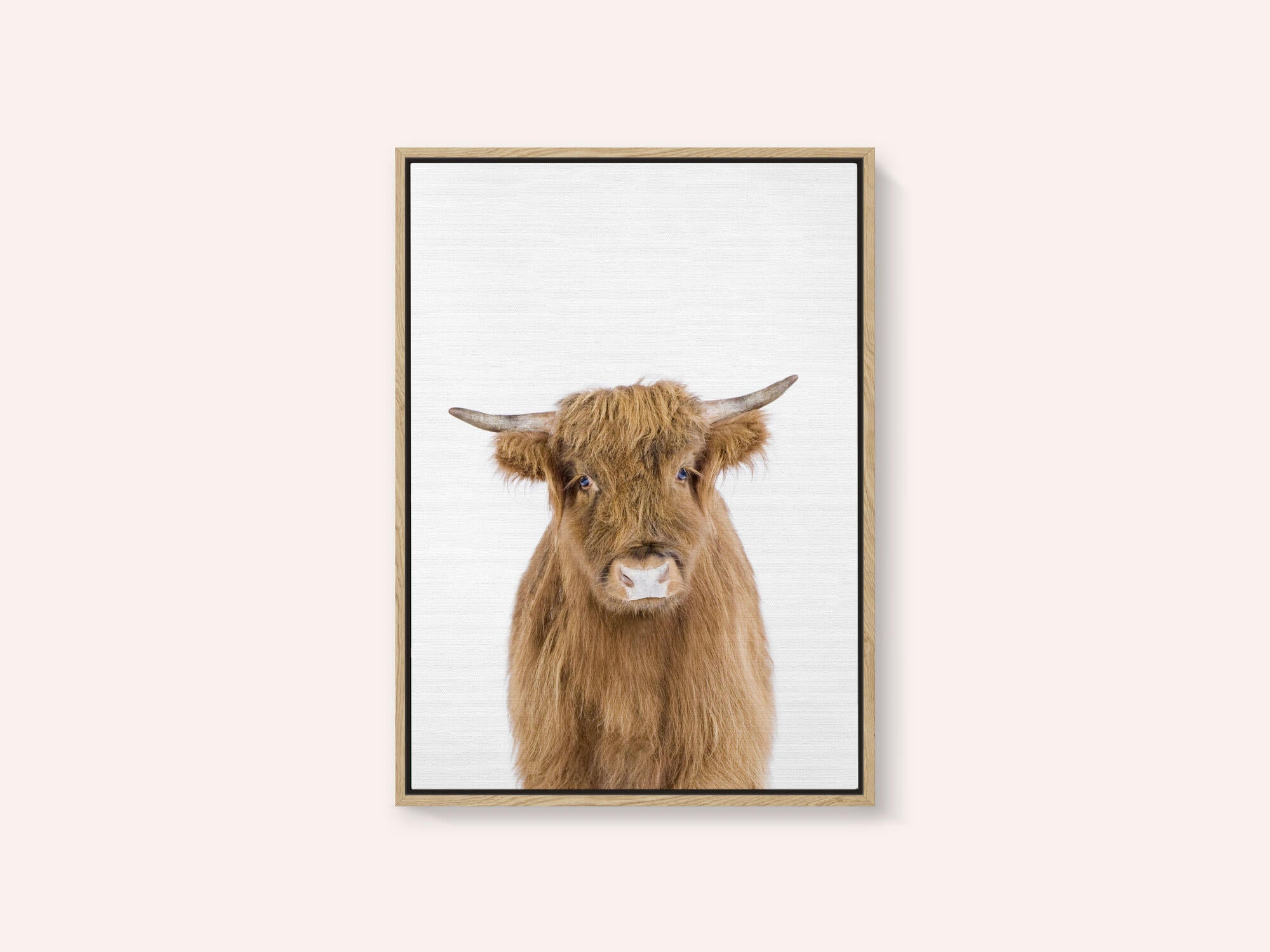 Baby Cow
