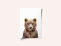 Baby Bear