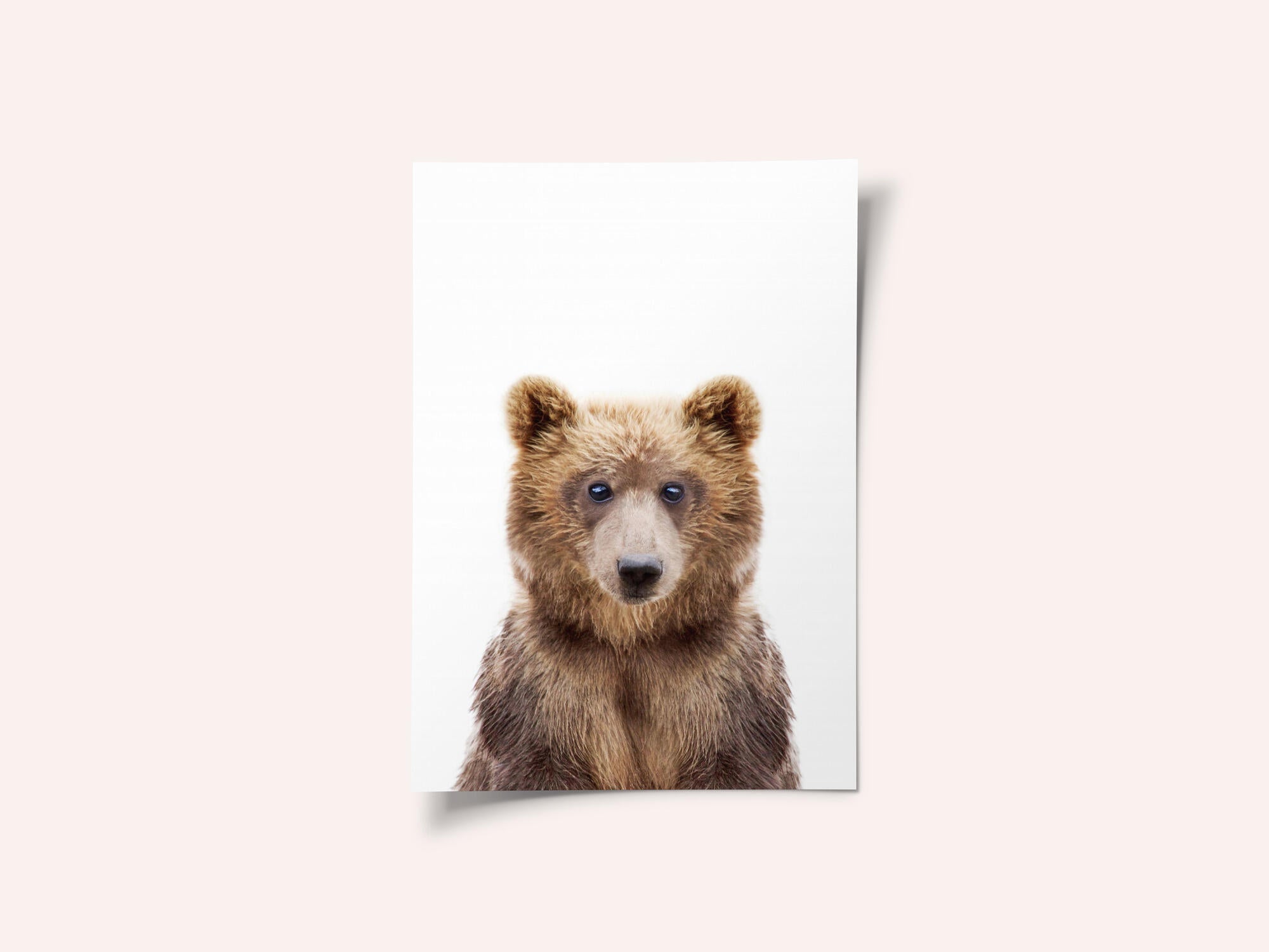 Baby Bear