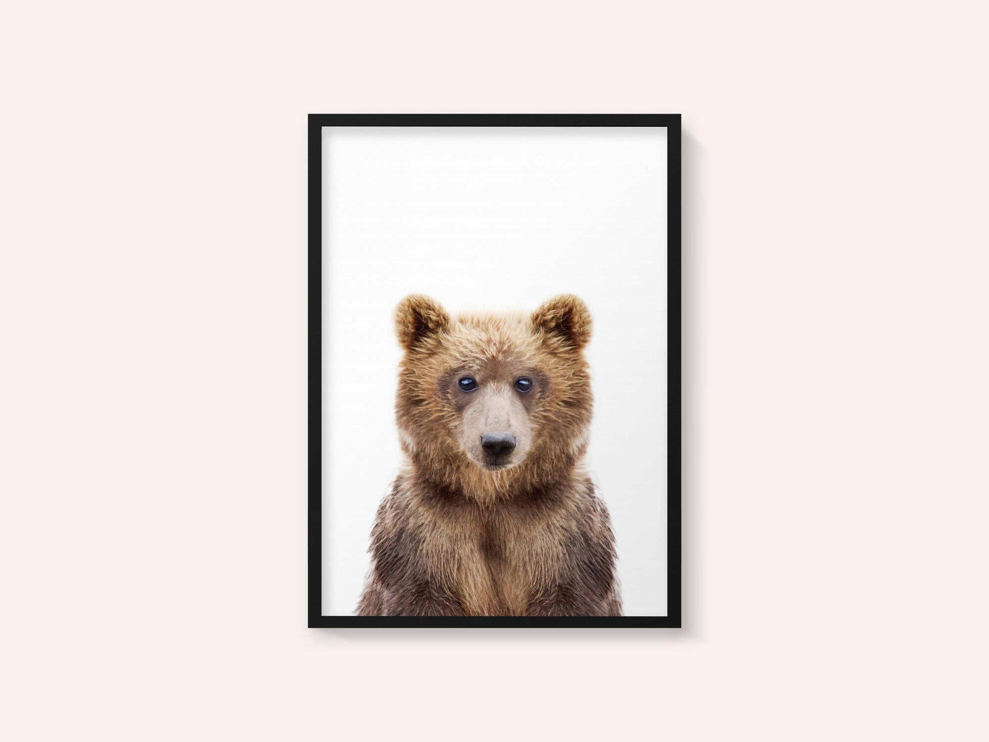 Baby Bear