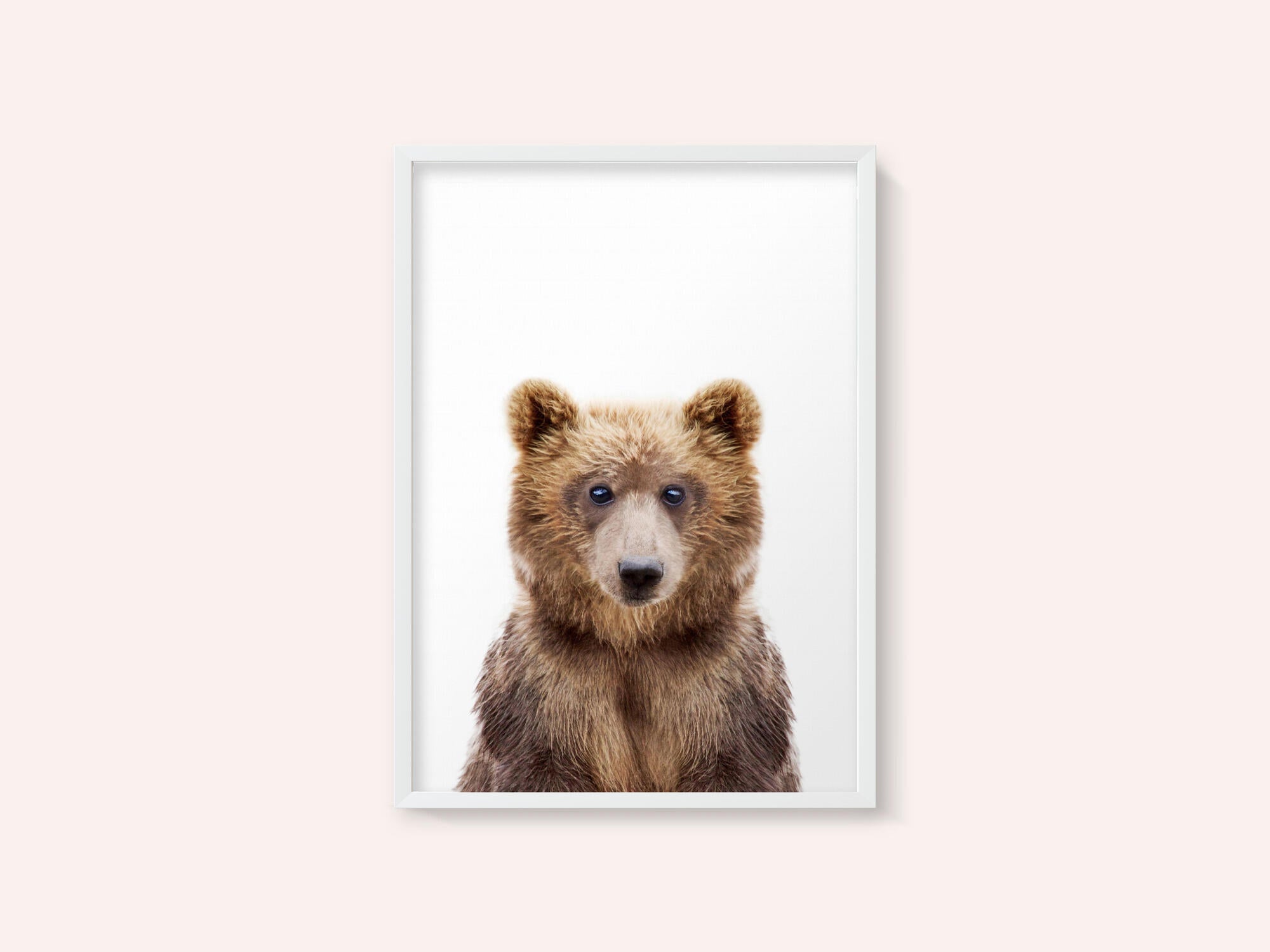 Baby Bear