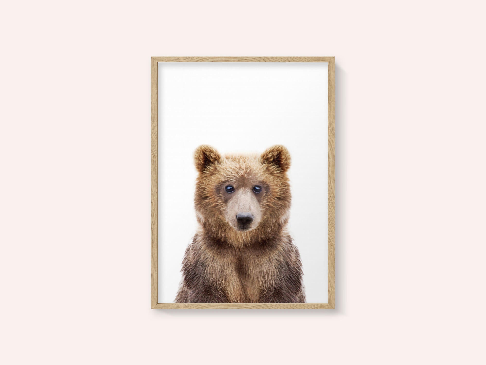 Baby Bear