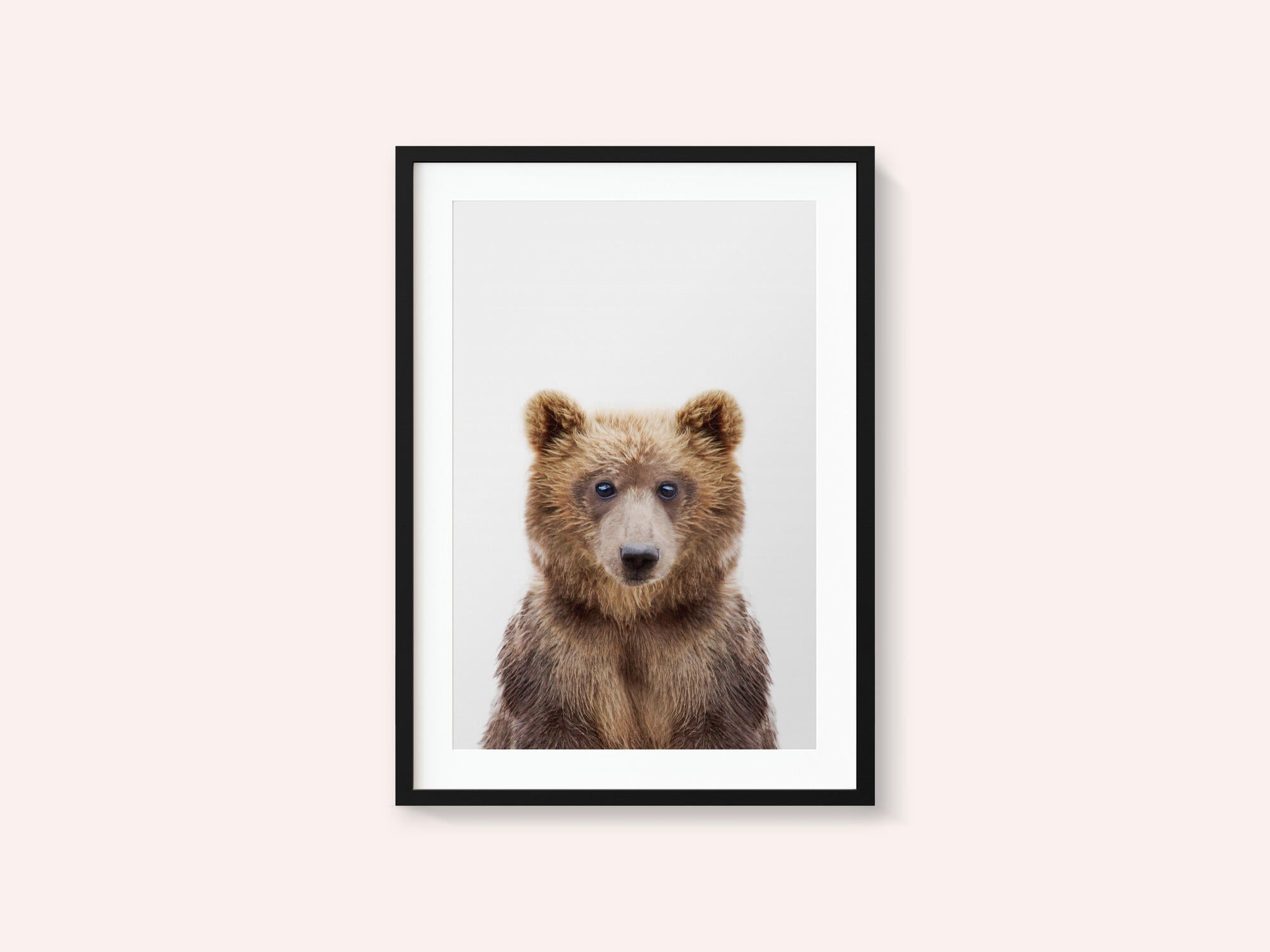 Baby Bear