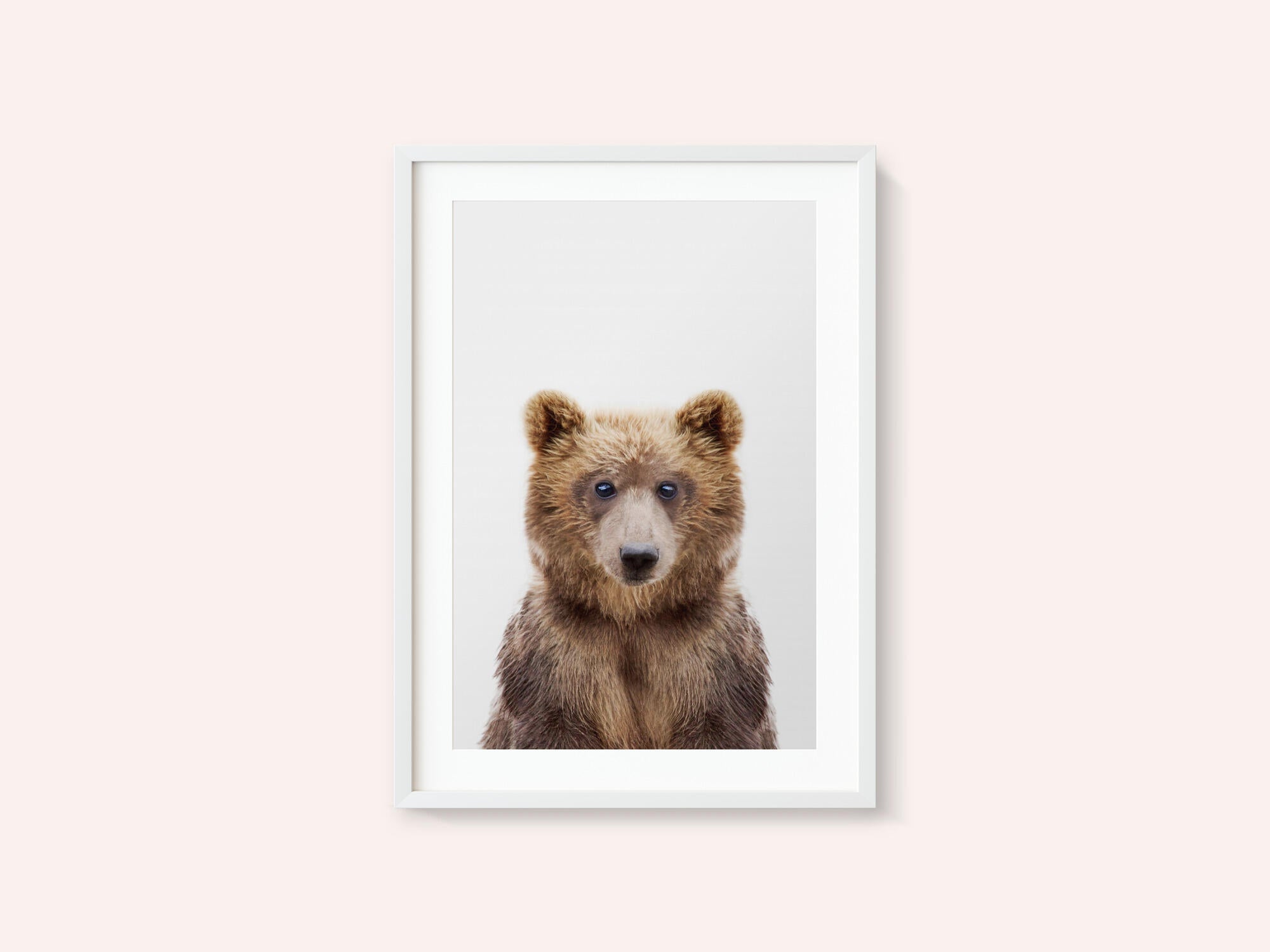 Baby Bear