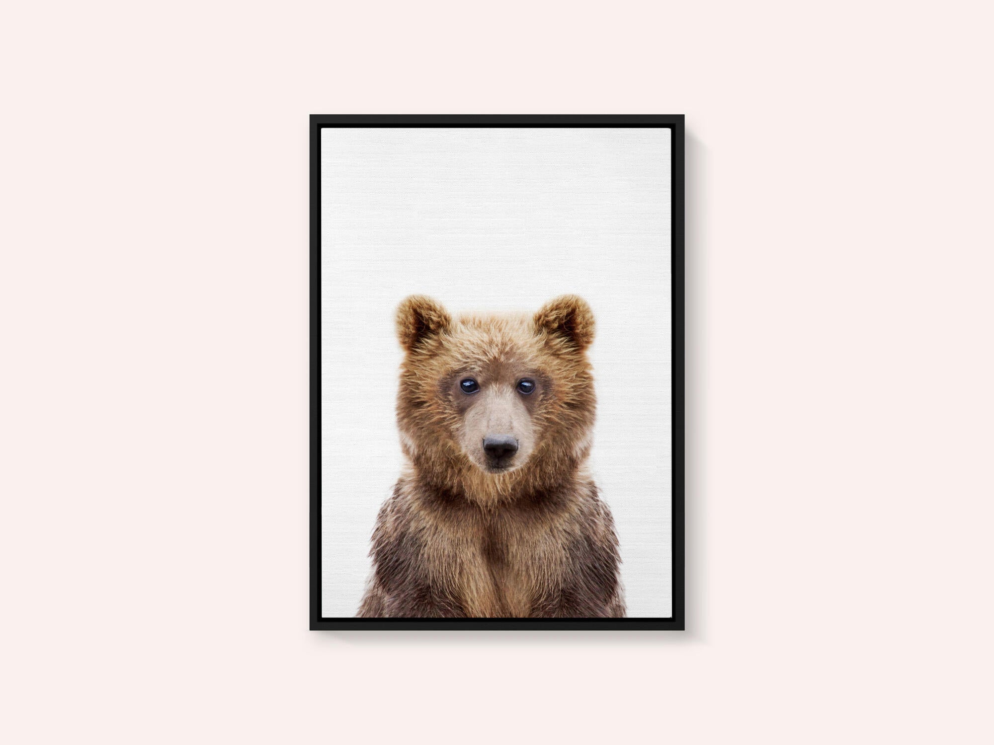 Baby Bear