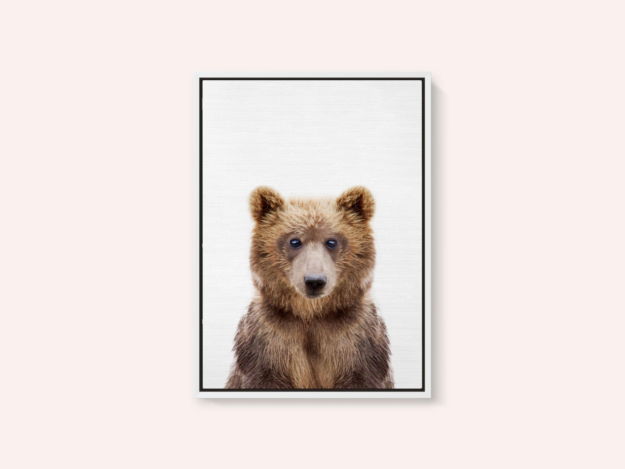 Baby Bear