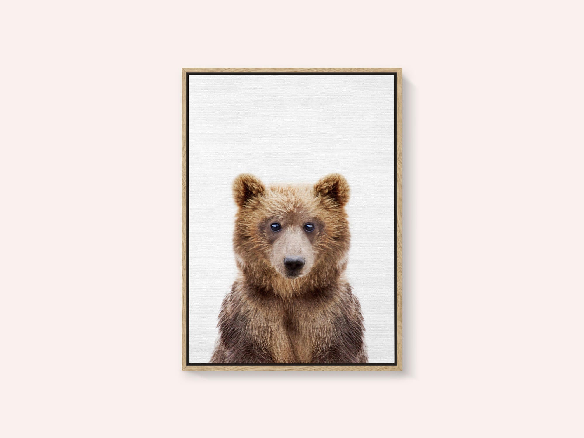 Baby Bear