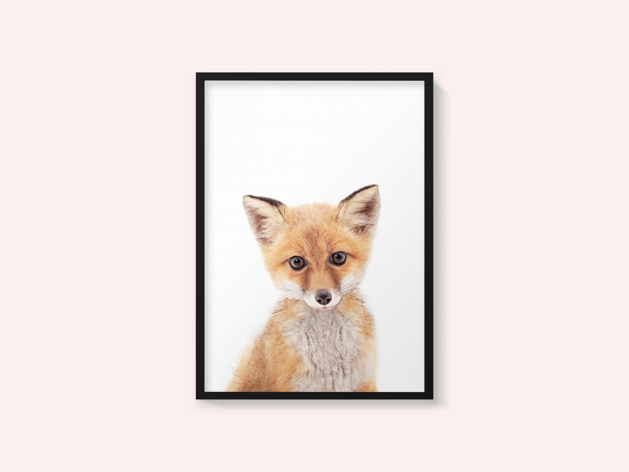 Baby Fox
