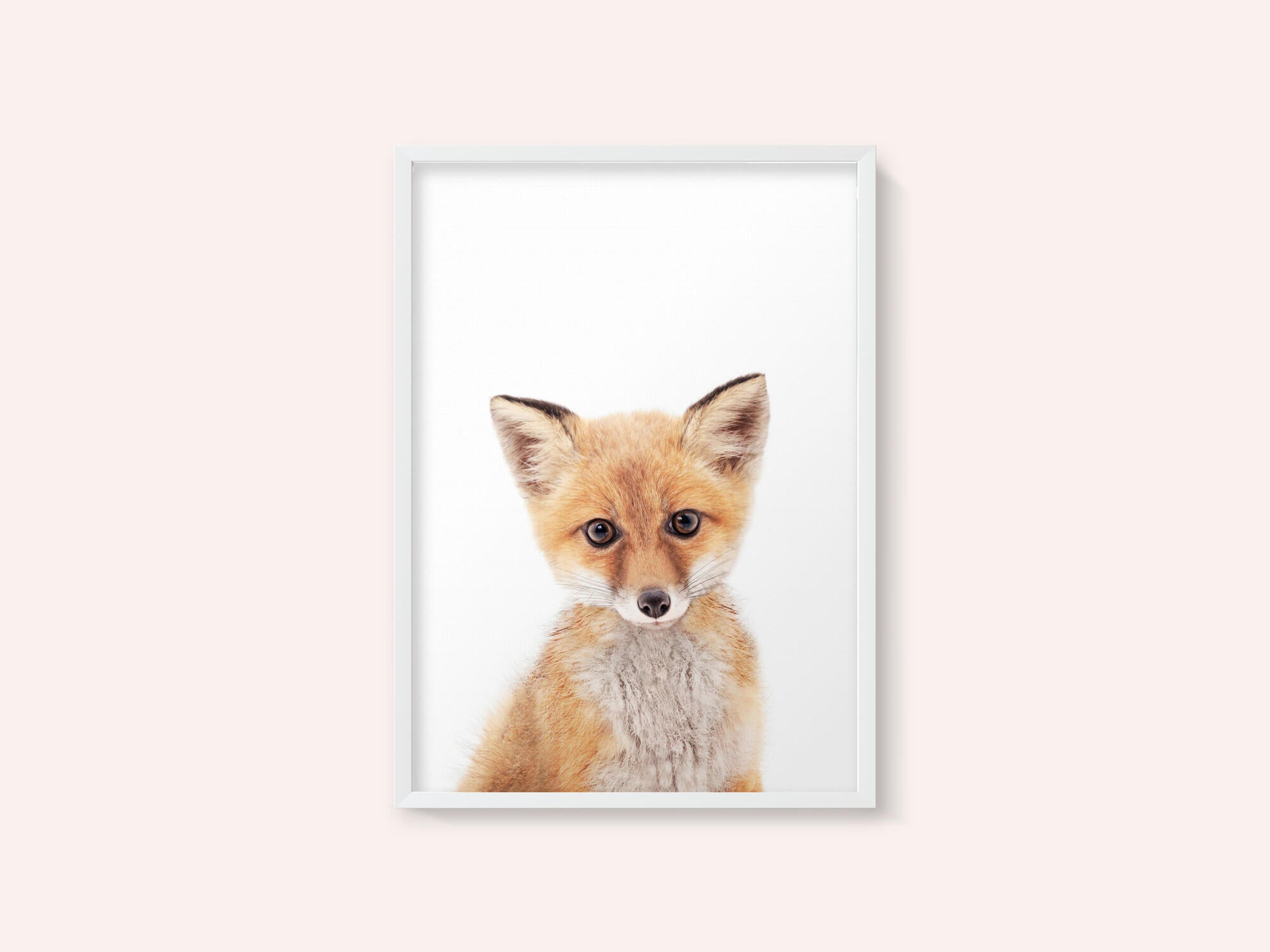 Baby Fox