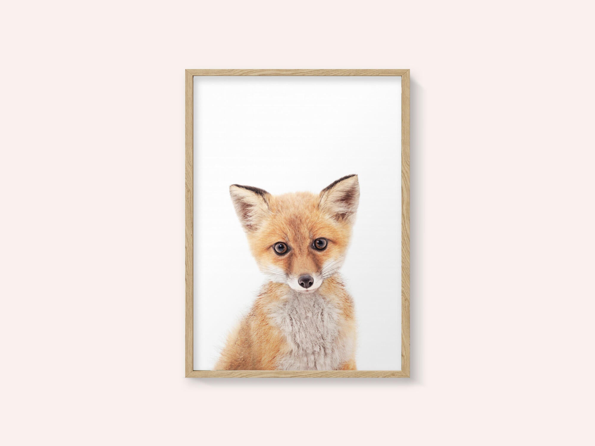 Baby Fox