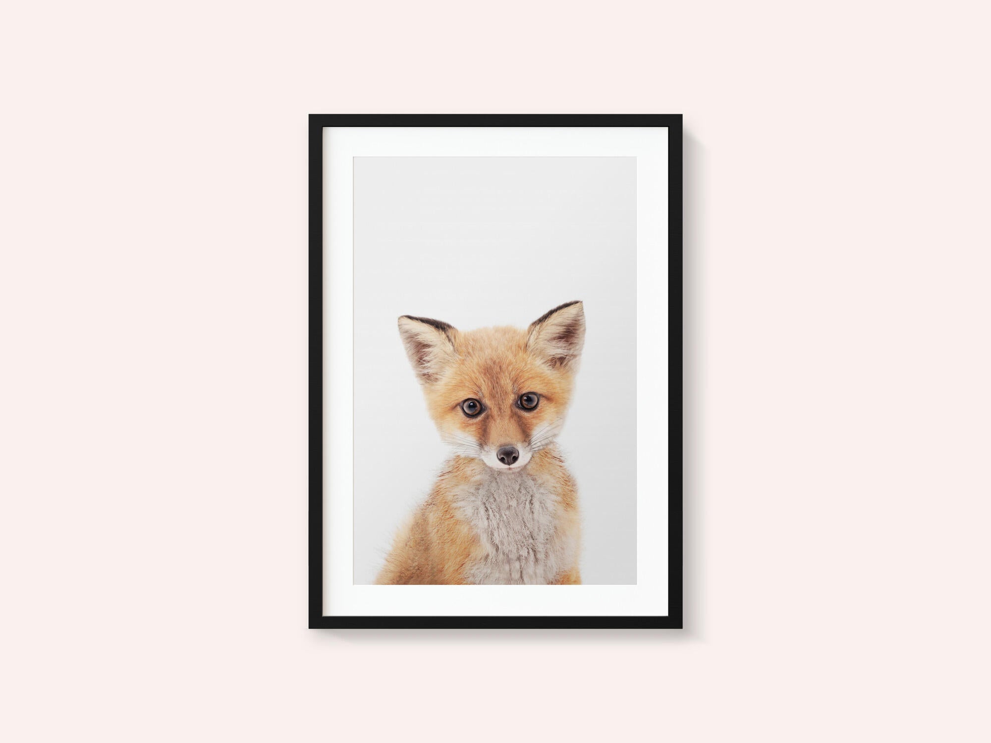 Baby Fox