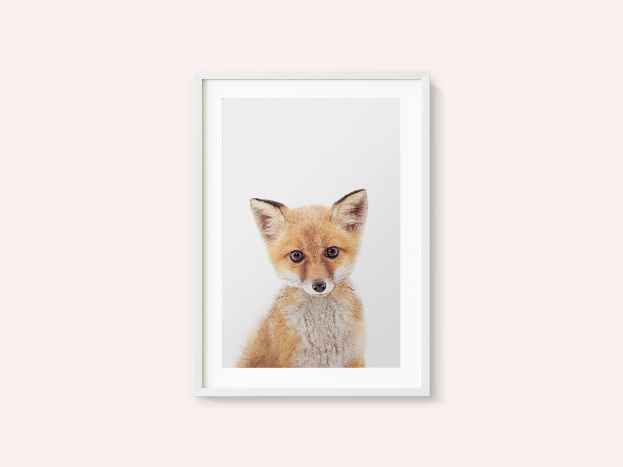 Baby Fox