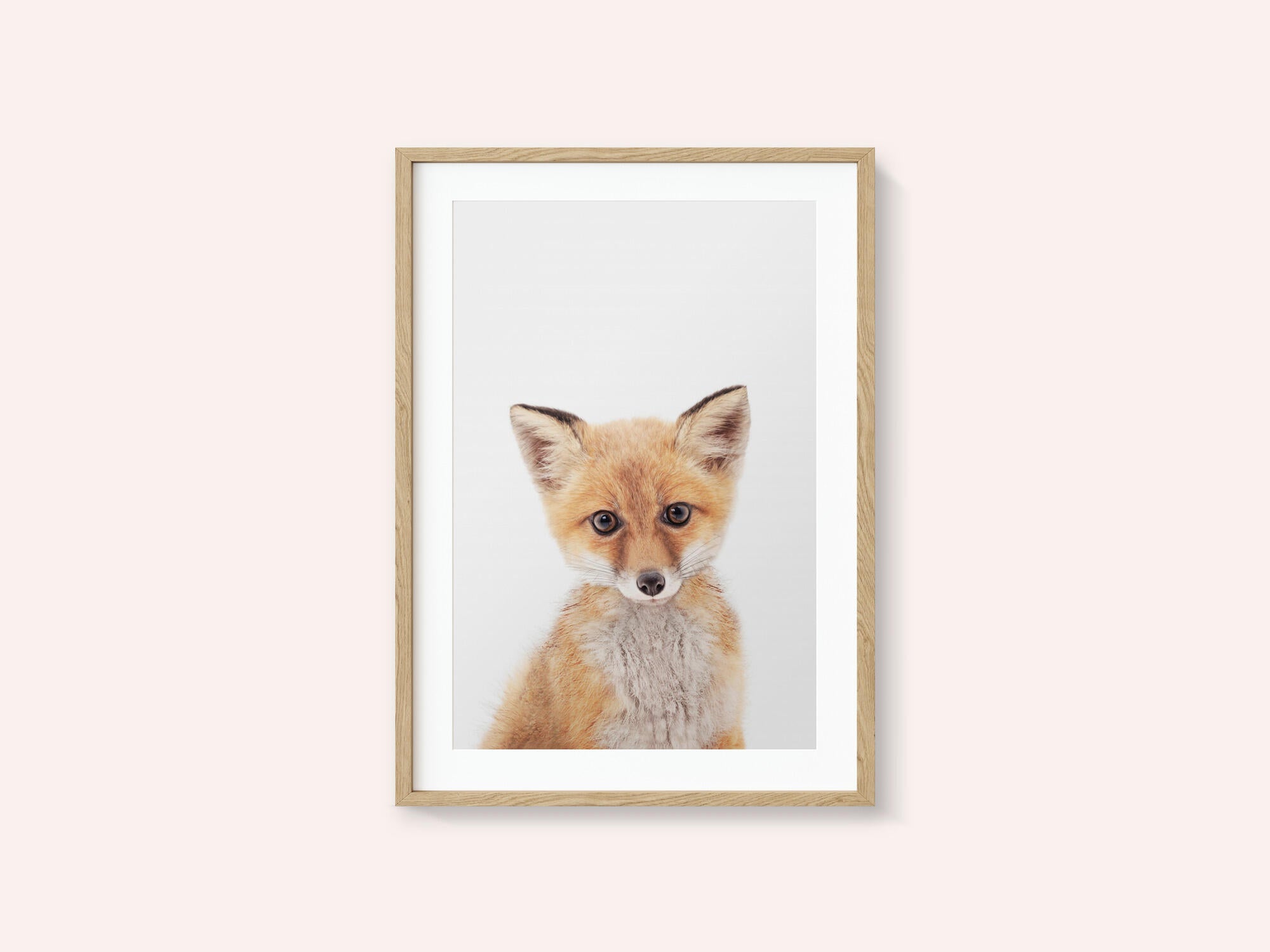 Baby Fox