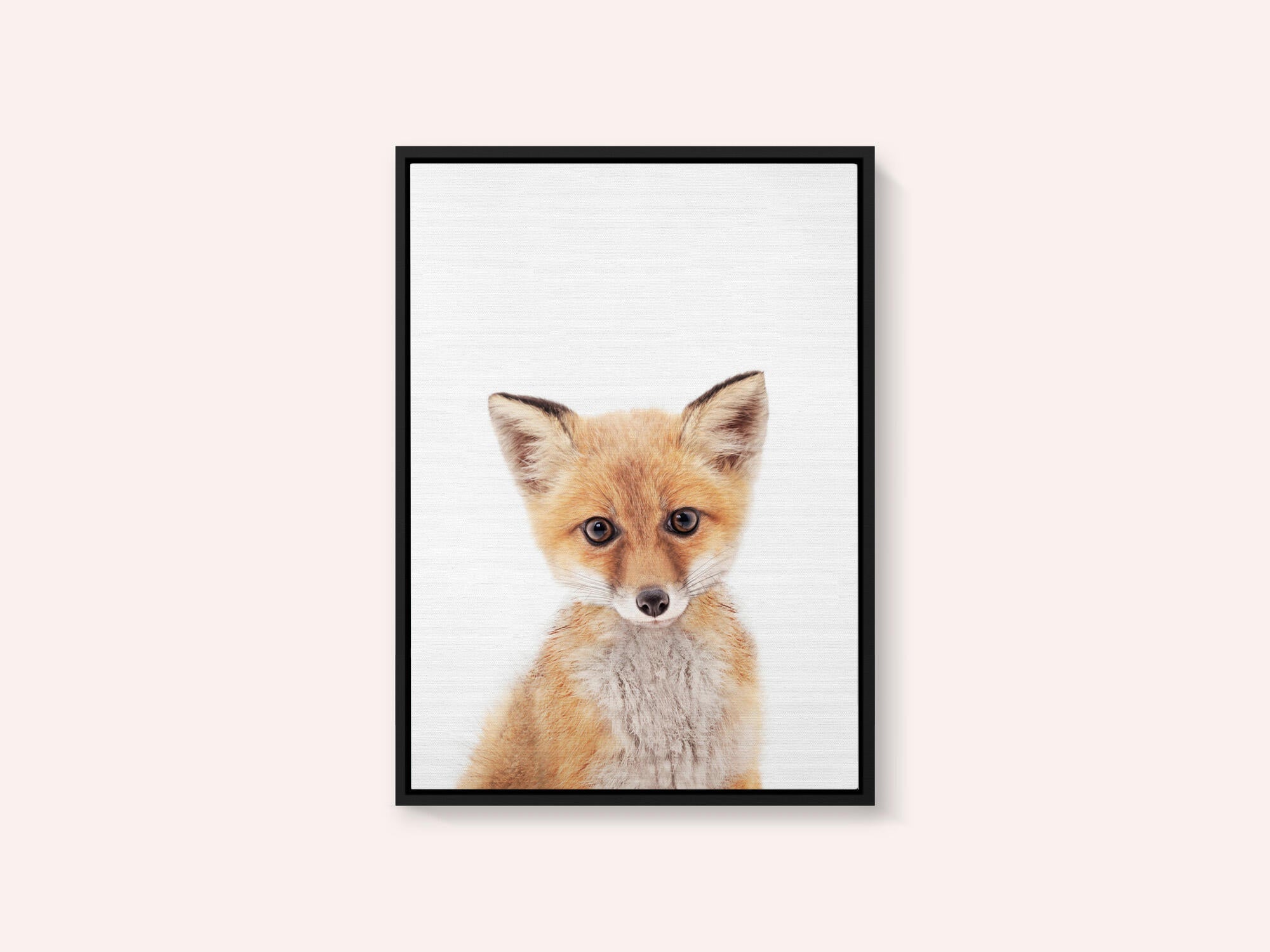 Baby Fox