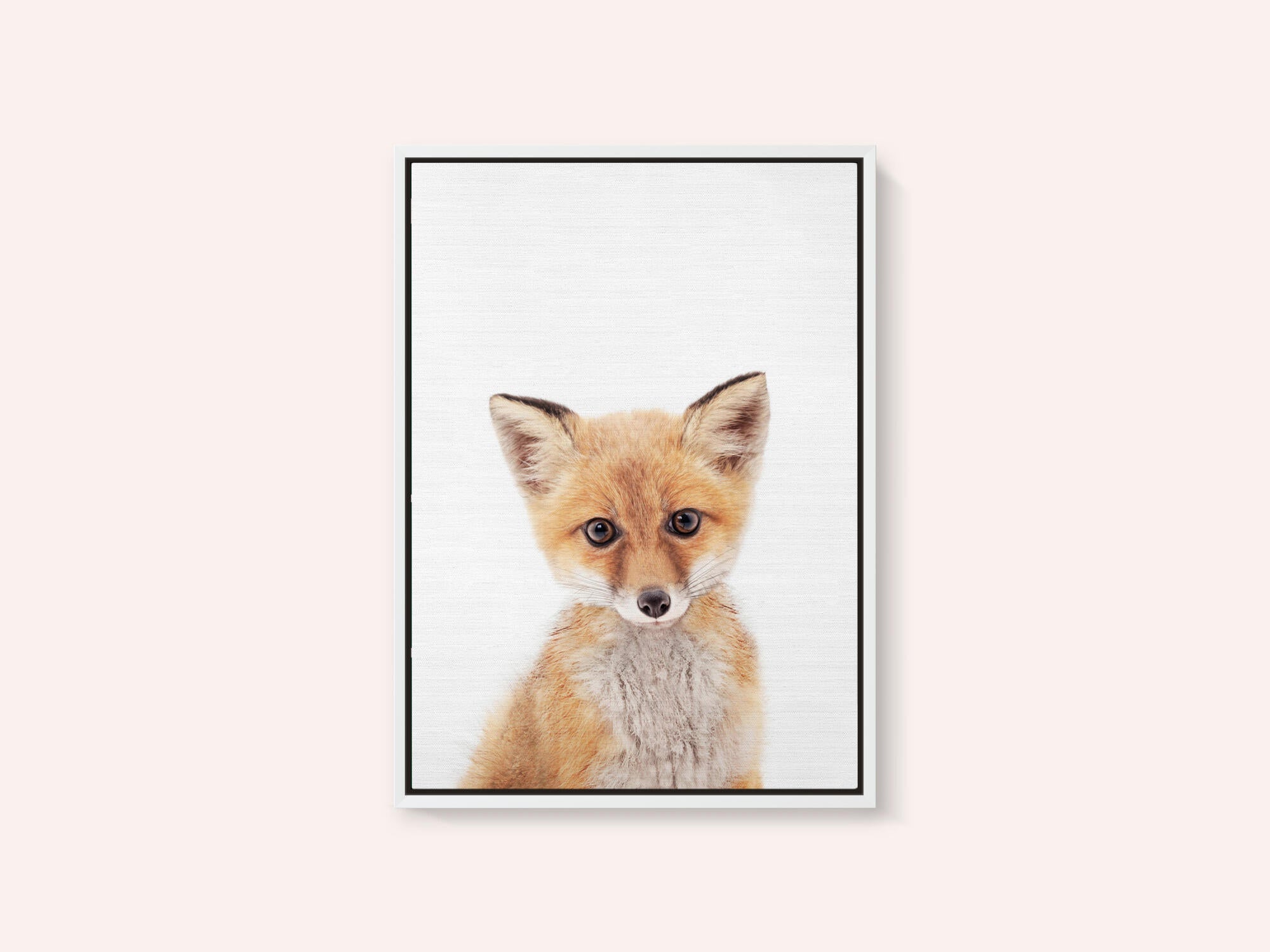 Baby Fox